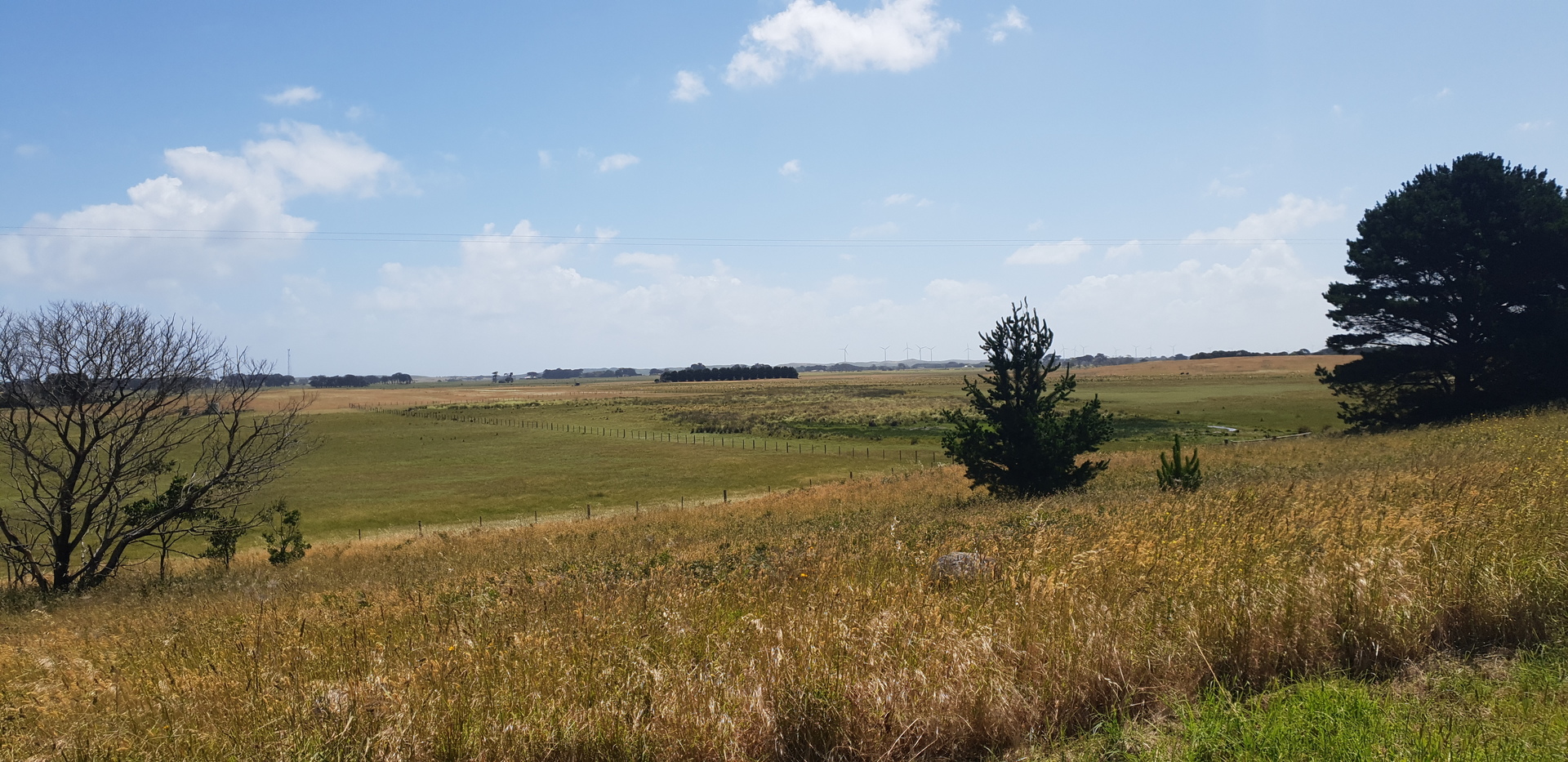 PORT FAIRY YAMBUK 2 TITLES 95.75 ACRES / 4.75 ACRES FARM HOUSE