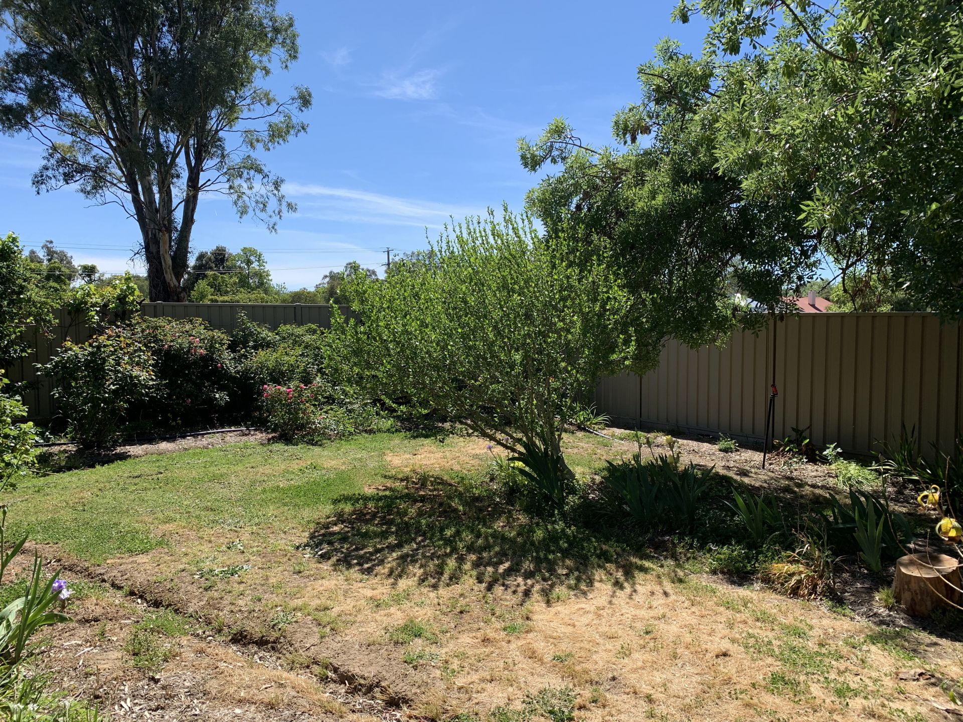 7 Rose Street, VIOLET TOWN Living Here Benalla