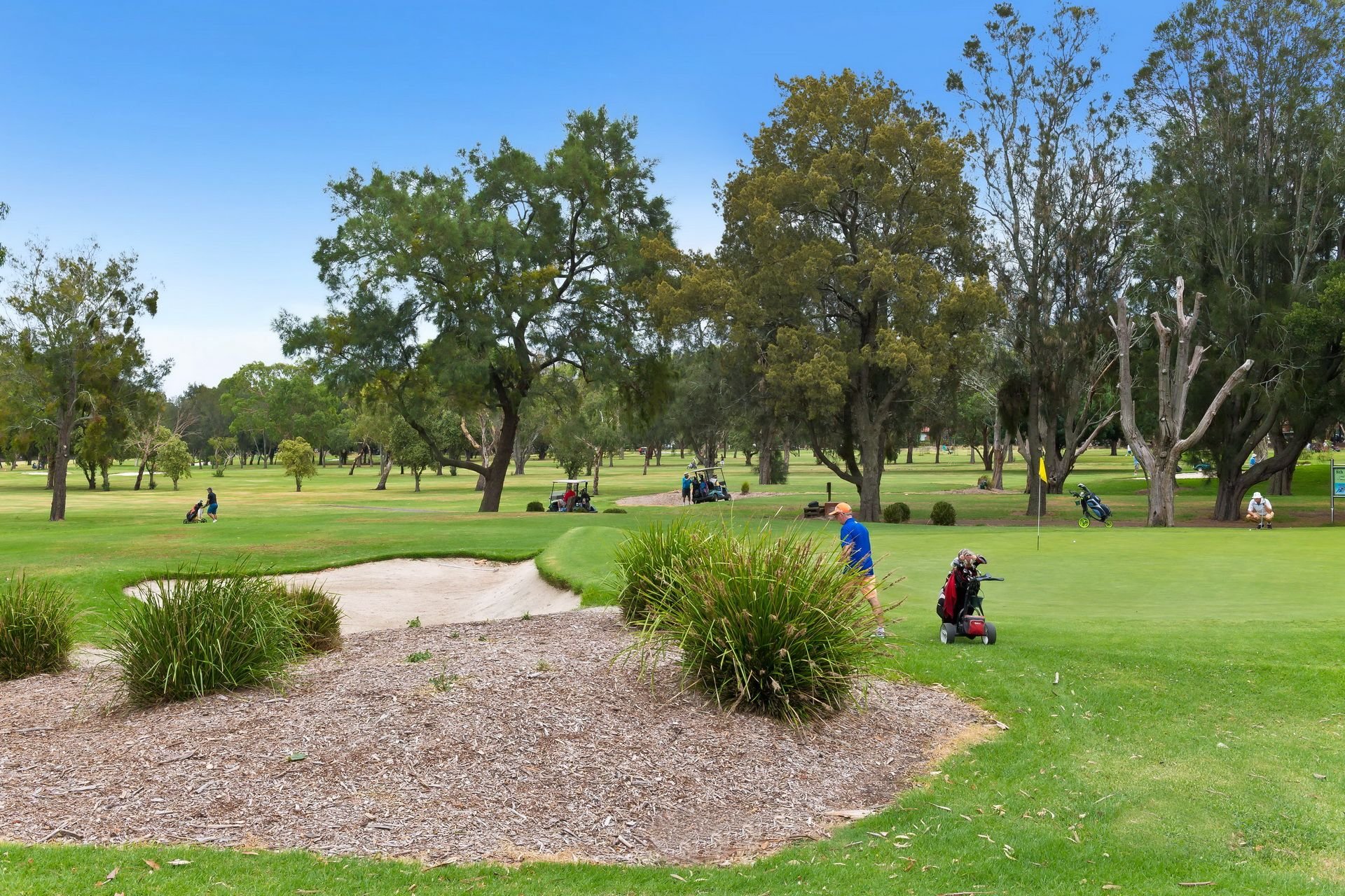 Real Estate For Sale 58 Battye Avenue Beverley Park , NSW