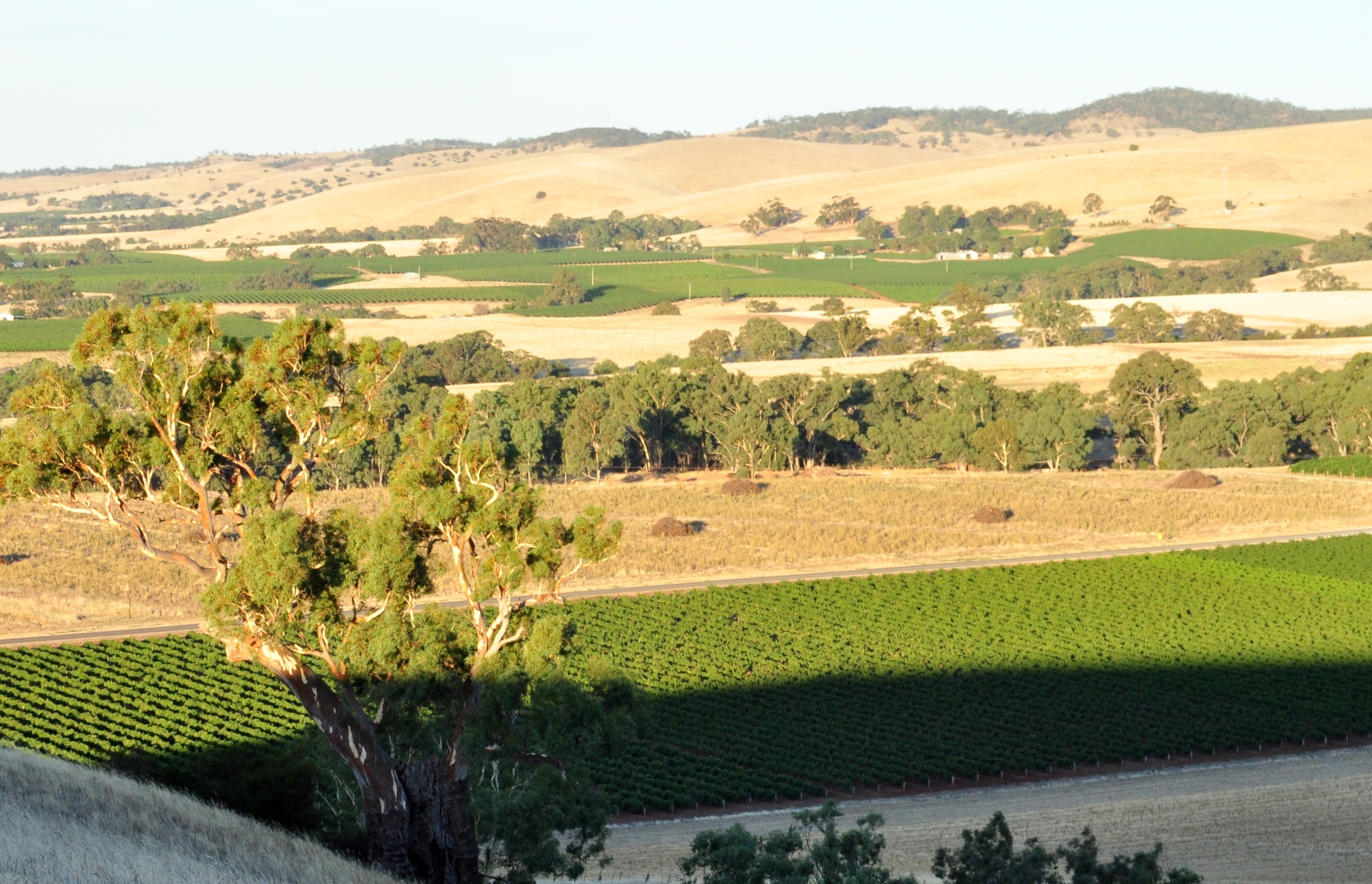 Sold property Undisclosed for 53 McLaren Hill Road Altona , SA 5351