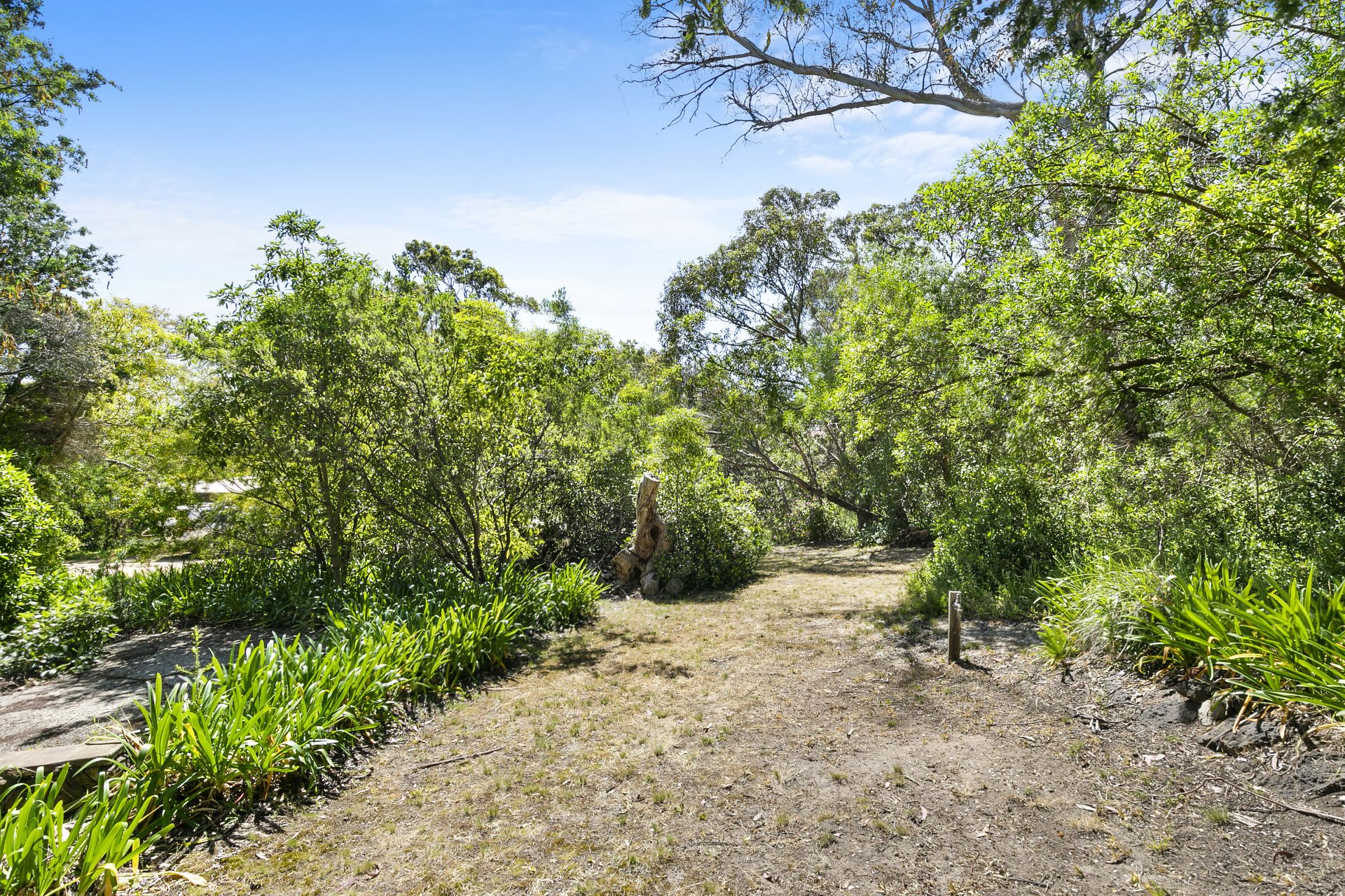 Real Estate For Sale 13 Peter Avenue Anglesea , VIC