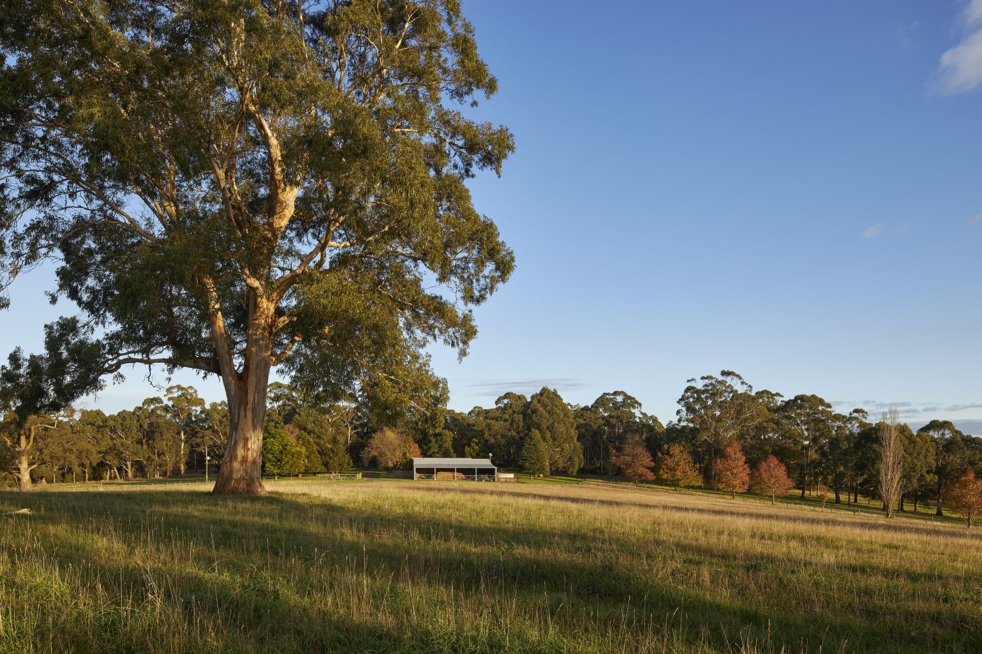 244 Dawsons Track, Nilma North OBrien Real Estate
