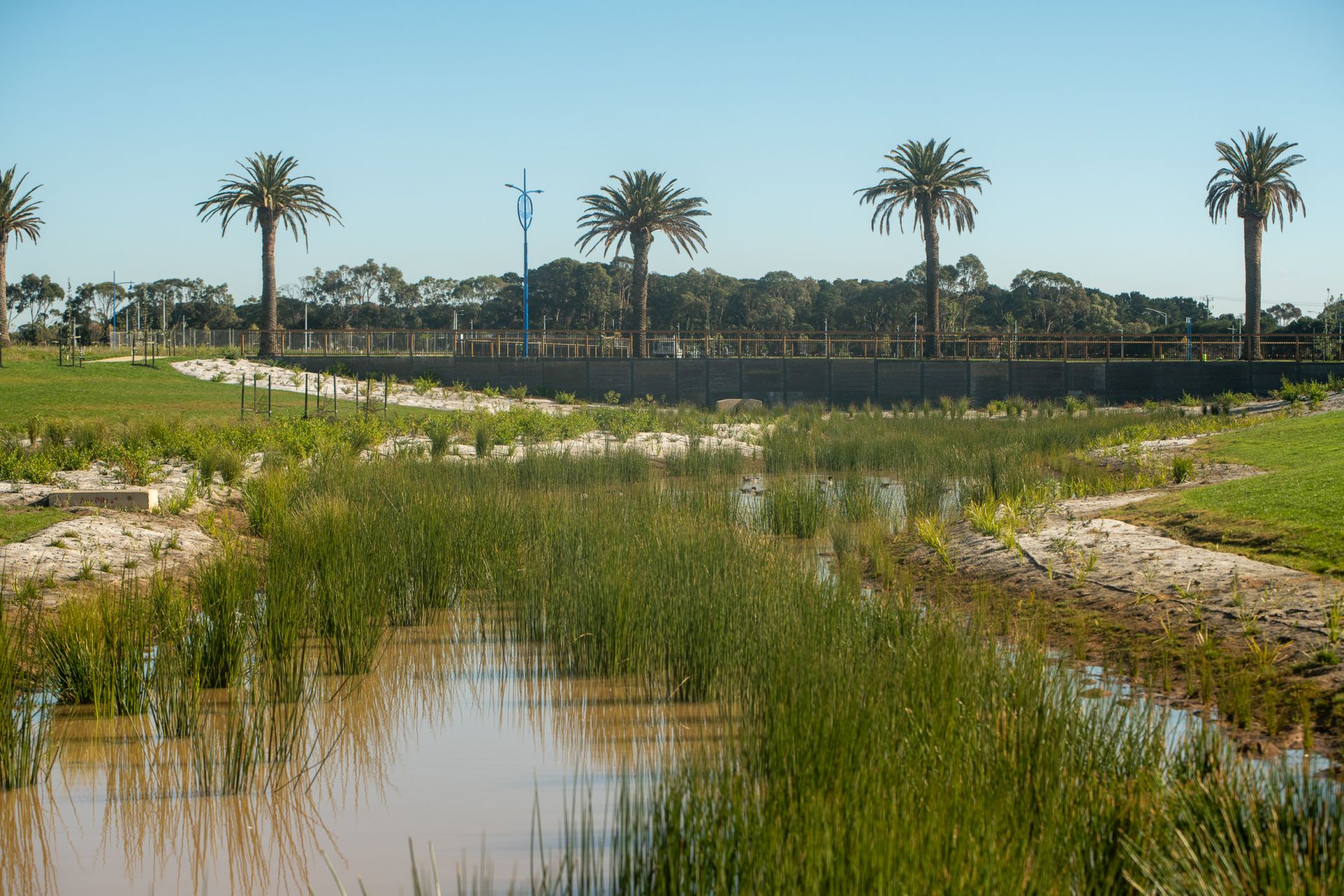 618 Seachange Estate, St Leonards Neville Richards Real Estate