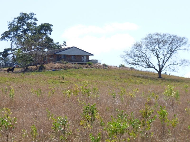 Real Estate For Sale Kalbar Roadvale Road Kalbar , QLD