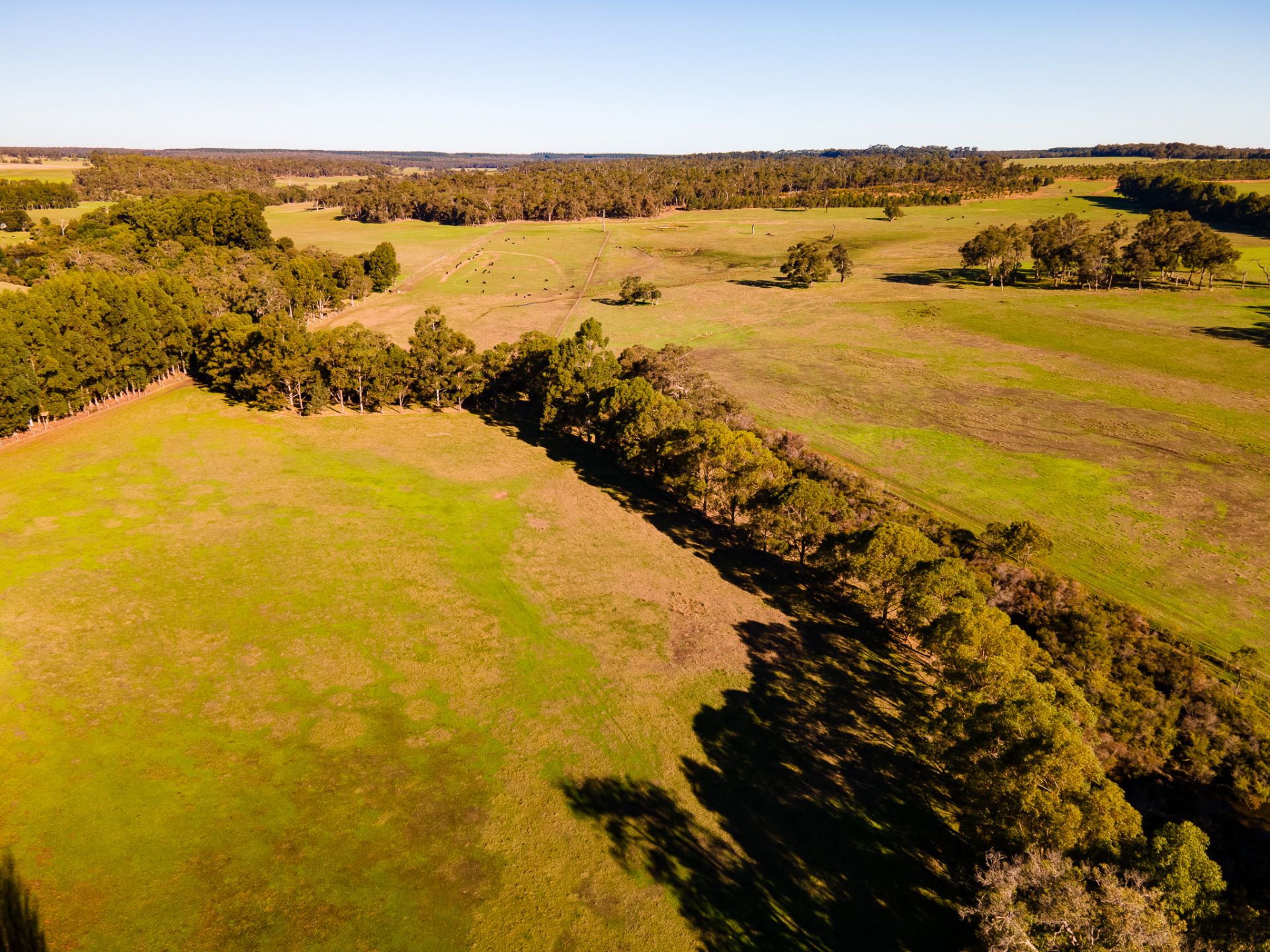 131 Price Road, Chapman Hill Zephyr Real Estate