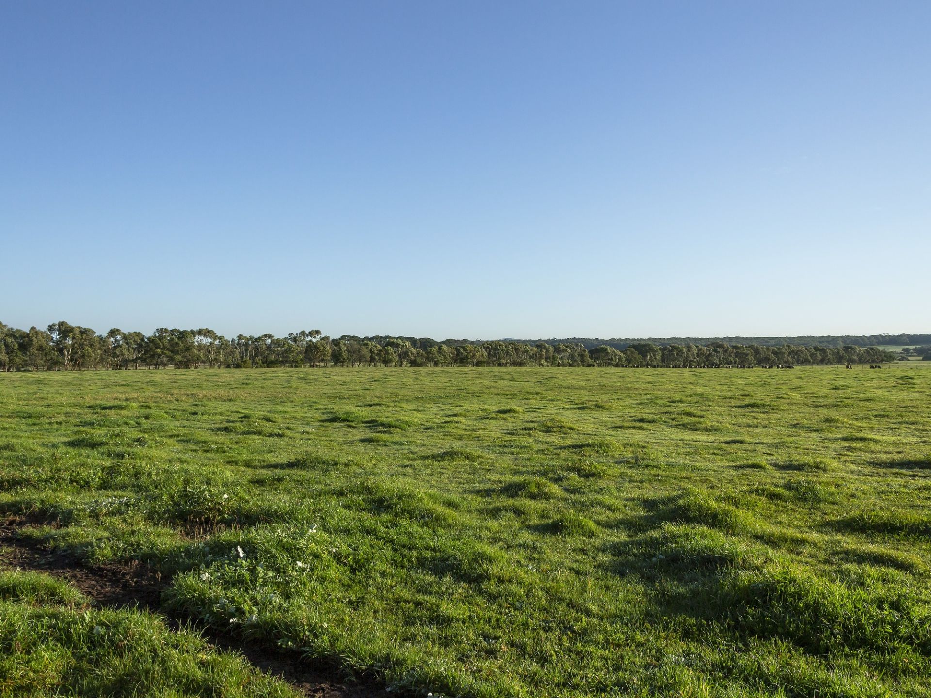 Real Estate For Sale 2115 Hendy Main Road Freshwater Creek , VIC