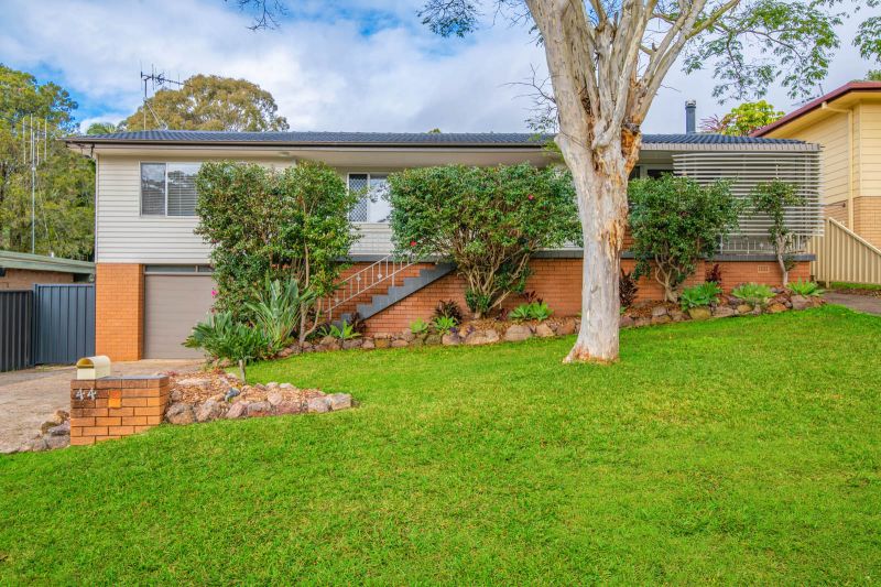 Real Estate For Lease 44 Herschell Street Port Macquarie , NSW