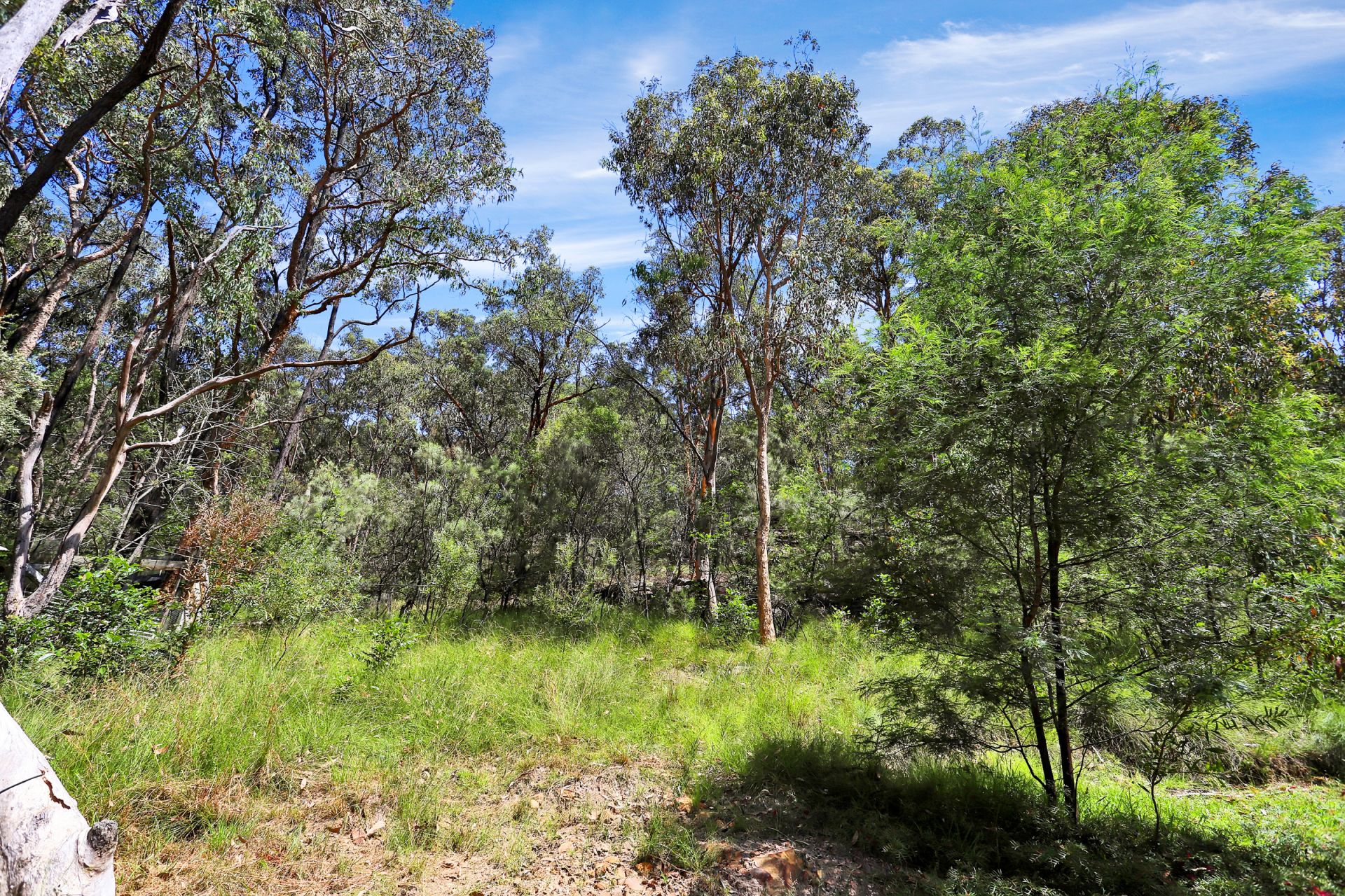 Real Estate For Sale 516 Settlers Road Lower Macdonald , NSW