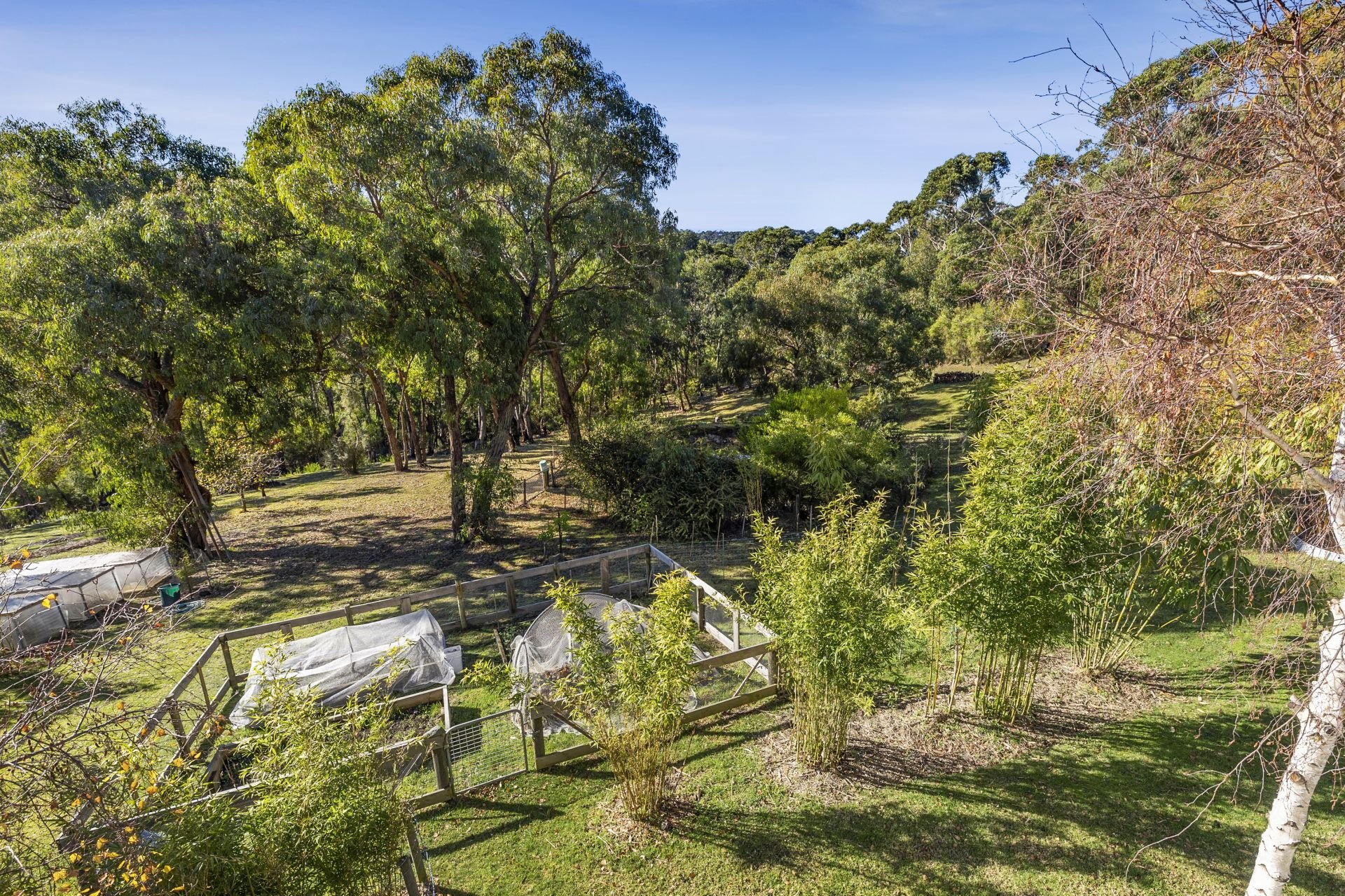 Real Estate For Sale 1875 Deans Marsh Road Lorne , VIC