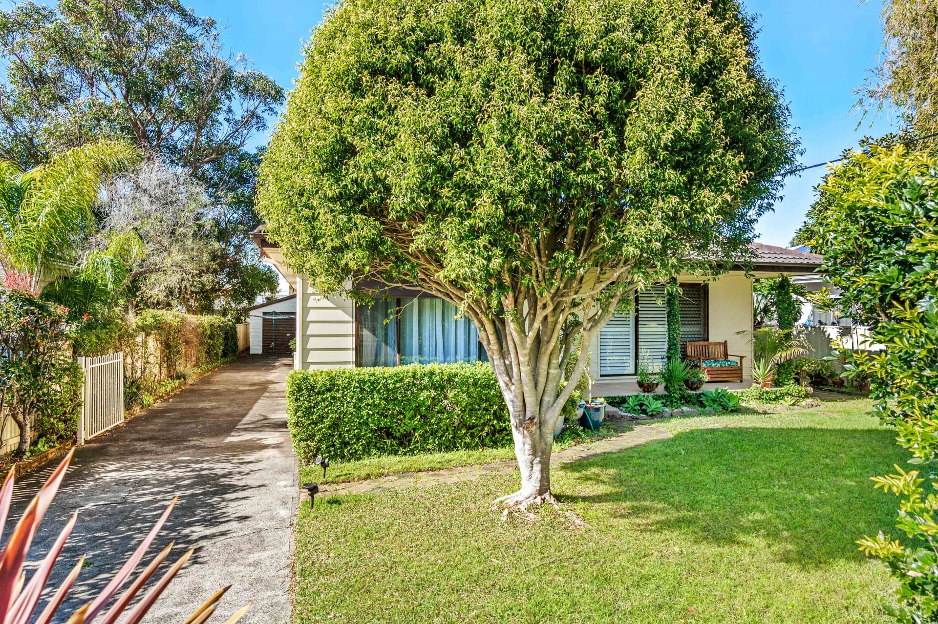 105 Park Avenue, Caves Beach 3Realty Lake Macquarie