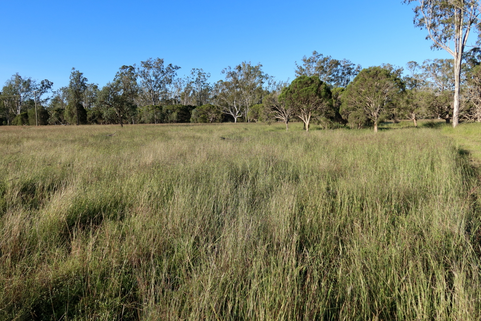Real Estate For Sale Lot 74 Middle Road Purga , QLD
