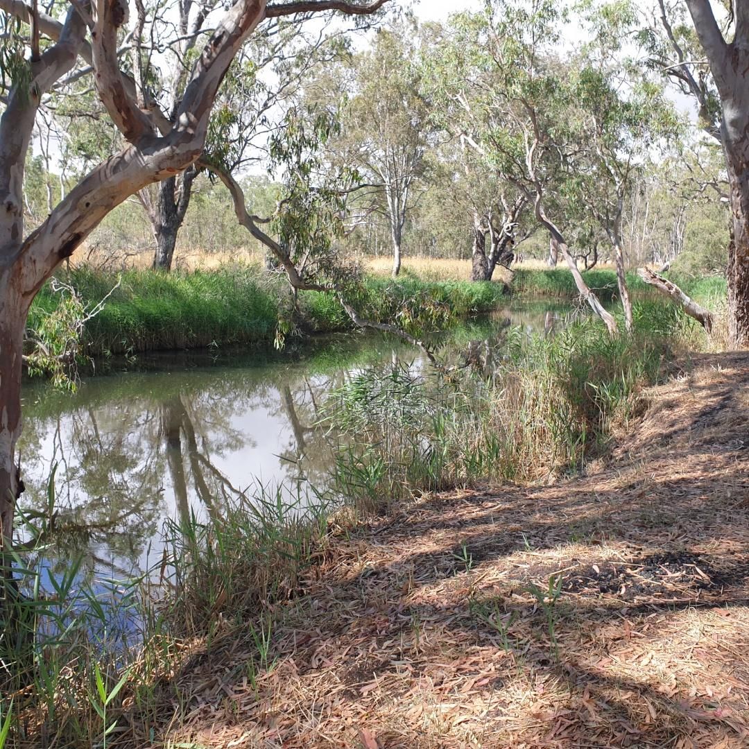 Real Estate For Sale Lot 20/ HarrowCasterton Road Harrow , VIC