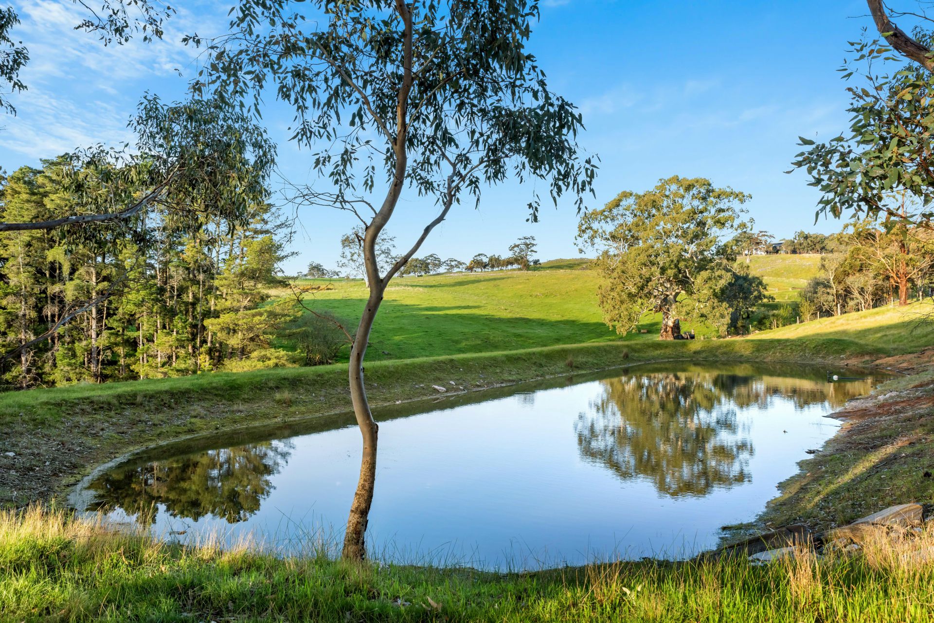95 Terlinga Road, Mount Torrens Adcock Real Estate