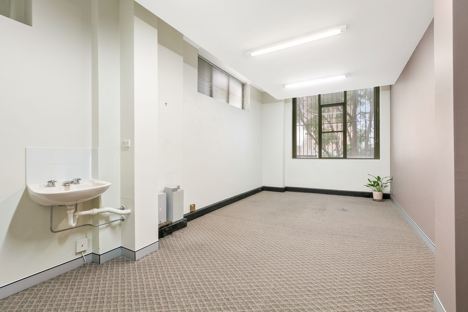 Real Estate For Commercial Lease 6/5460 Briggs Street Camperdown , NSW