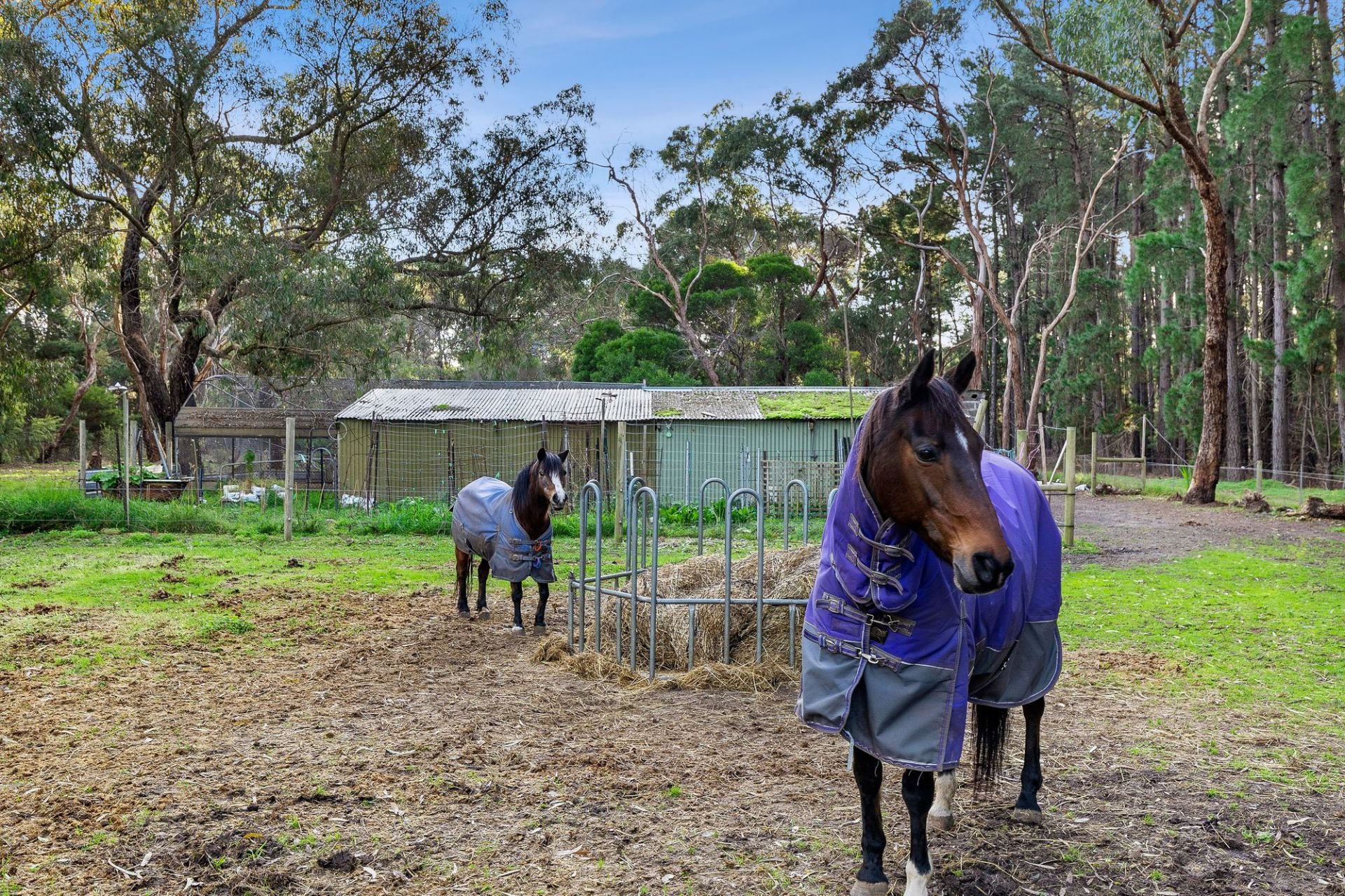 Real Estate For Sale 447 Grubb Road Wallington , VIC