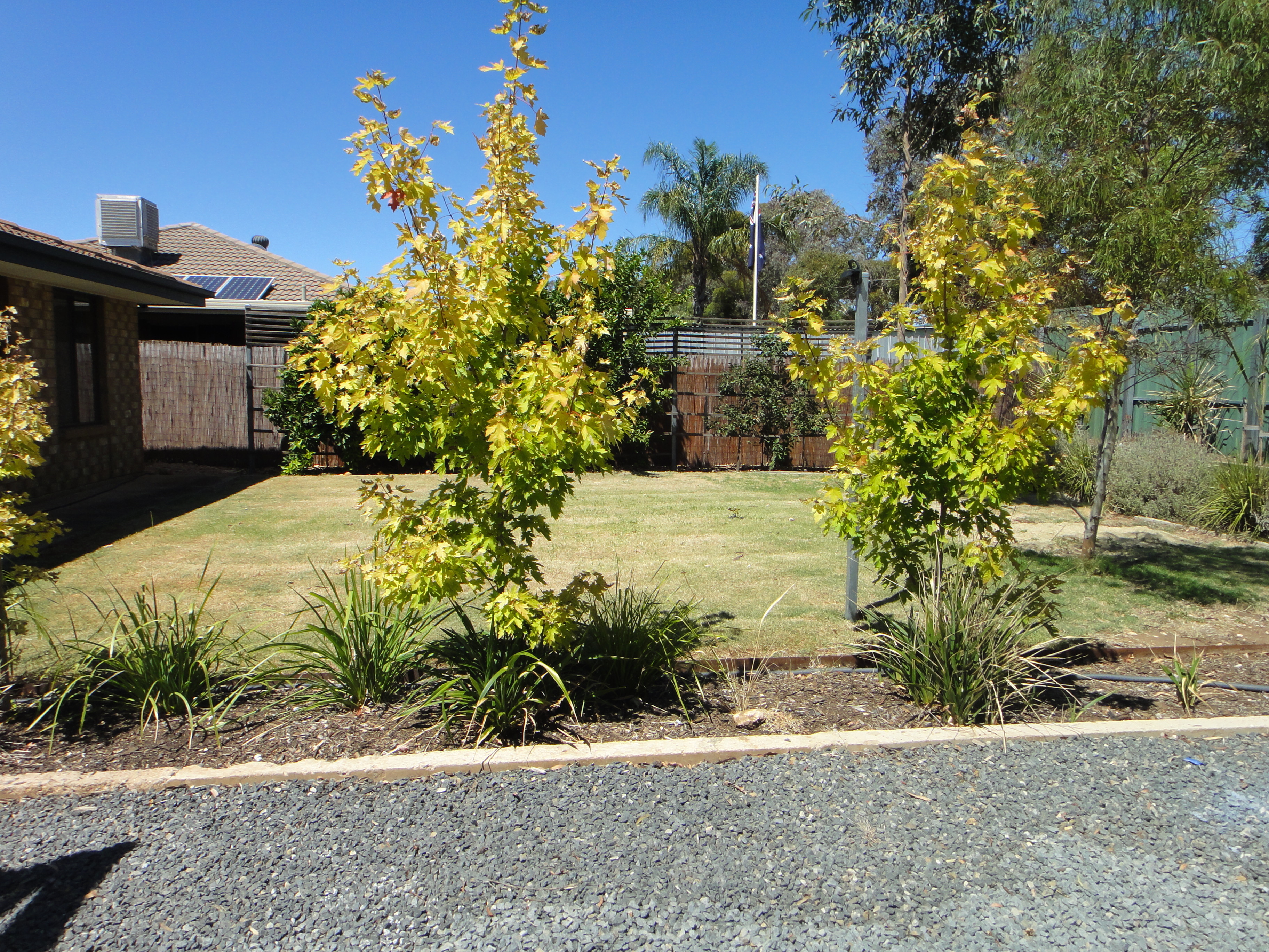 Real Estate For Lease 17 Brooks Avenue Willaston , SA