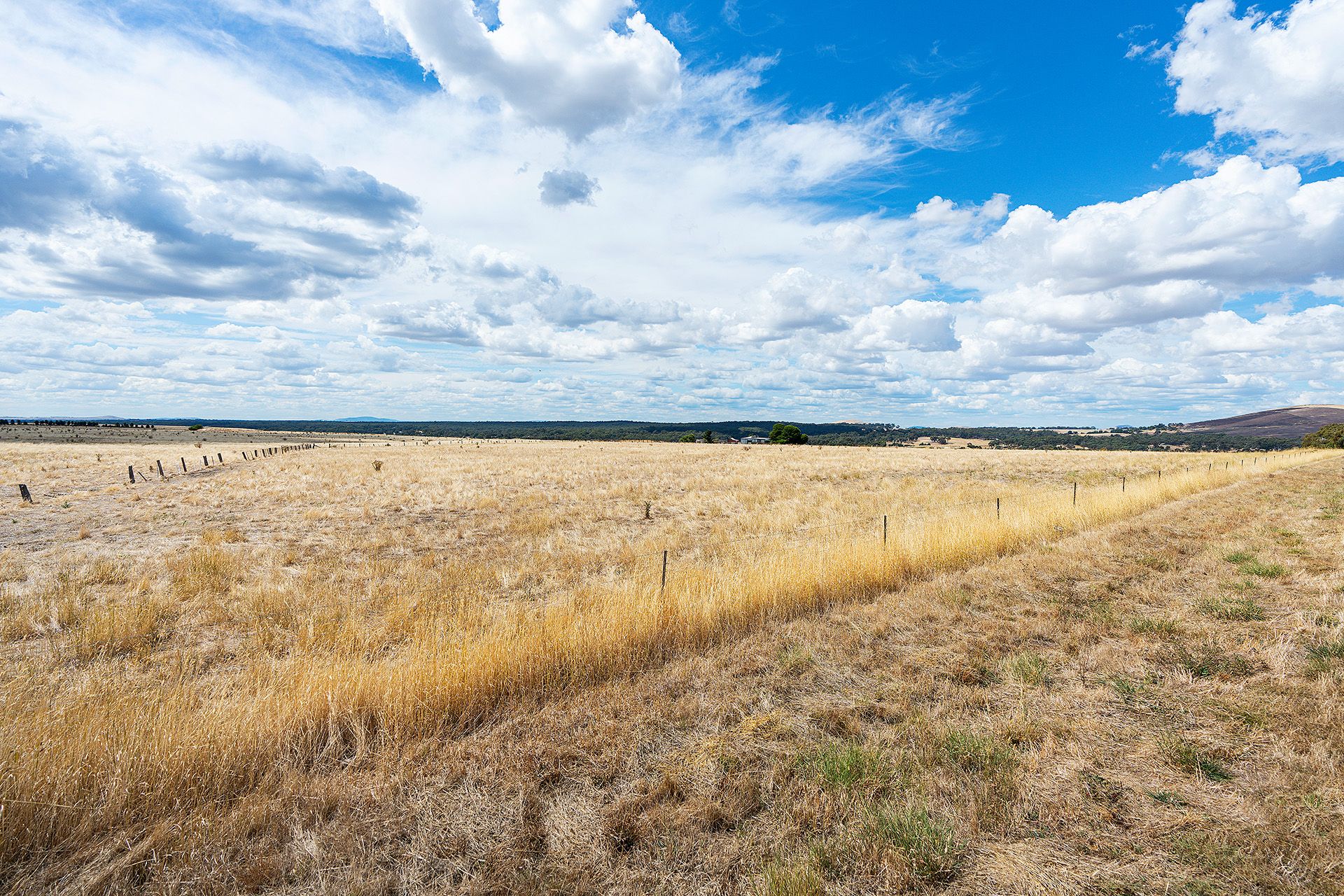 Real Estate For Sale Lot 31/ Mt Greenoch Road Red Lion , VIC