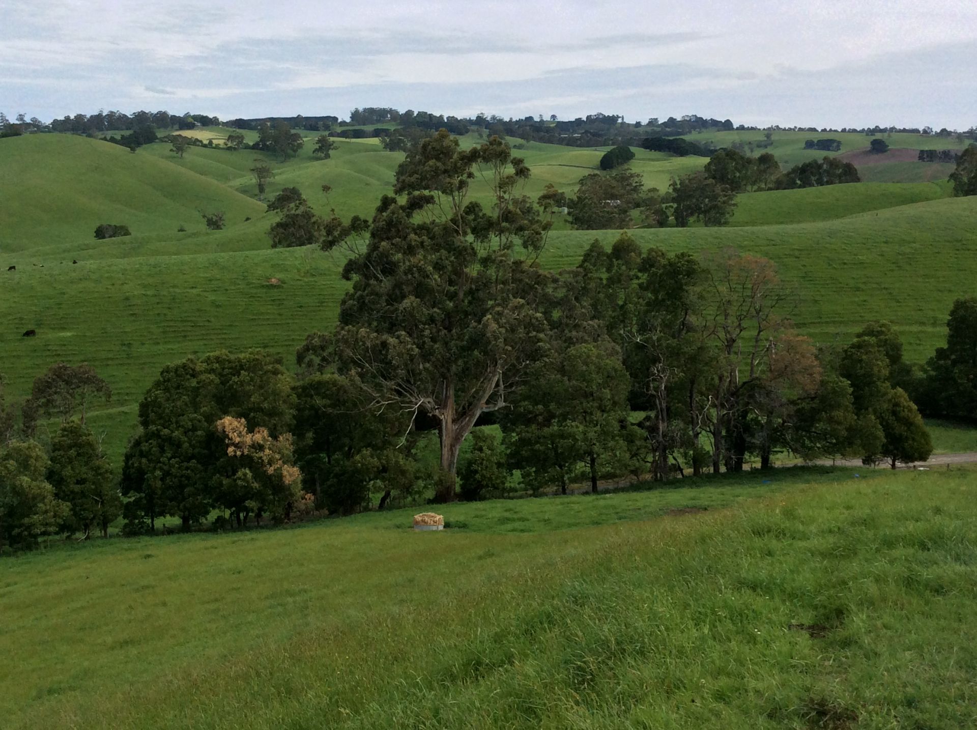 Real Estate For Sale 100 Schmidts Road Poowong East , VIC