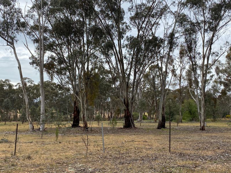 Real Estate For Sale Lot 11/ Denyers Road Bowenvale , VIC