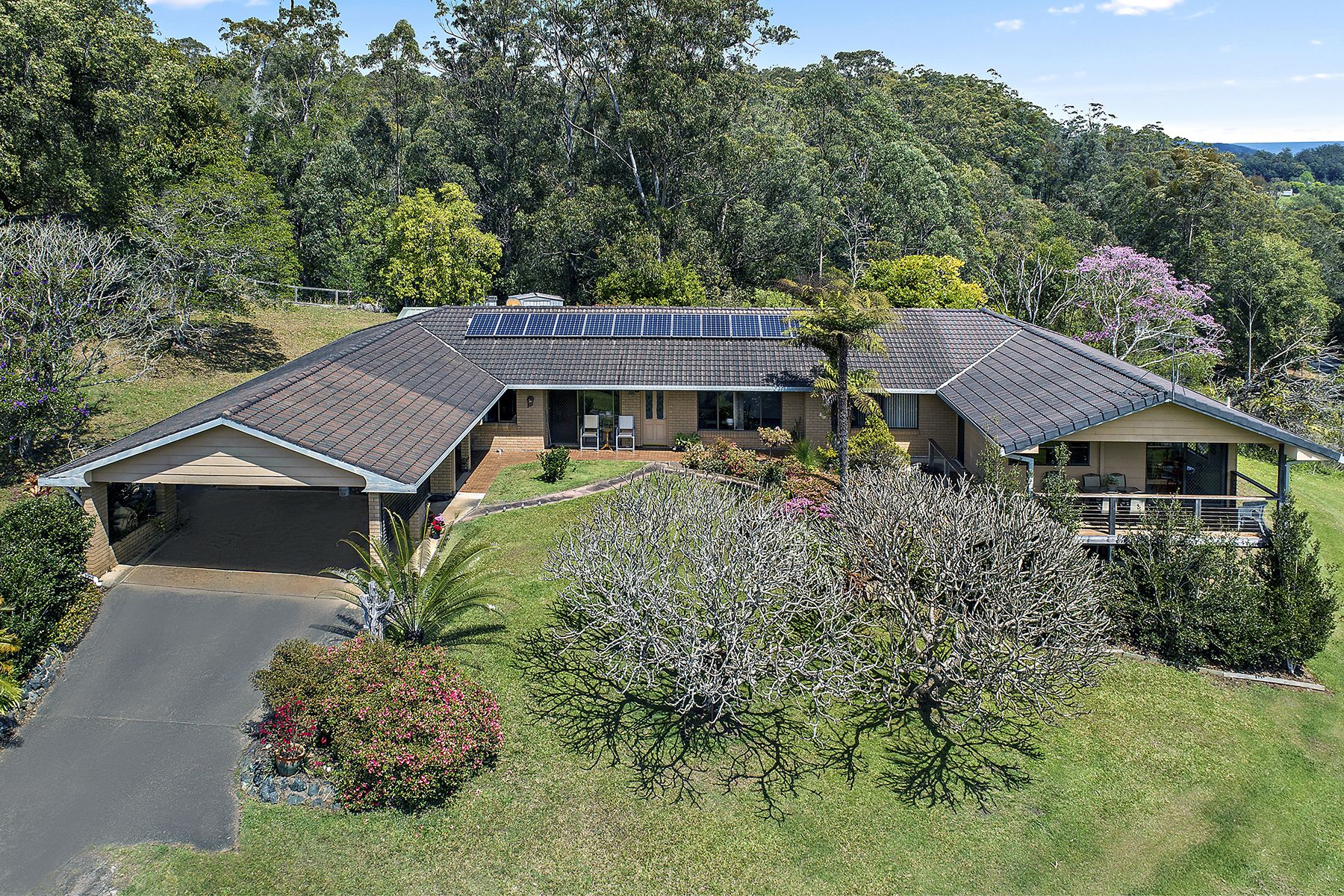 Real Estate For Sale 2455 Waterfall Way Bellingen , NSW