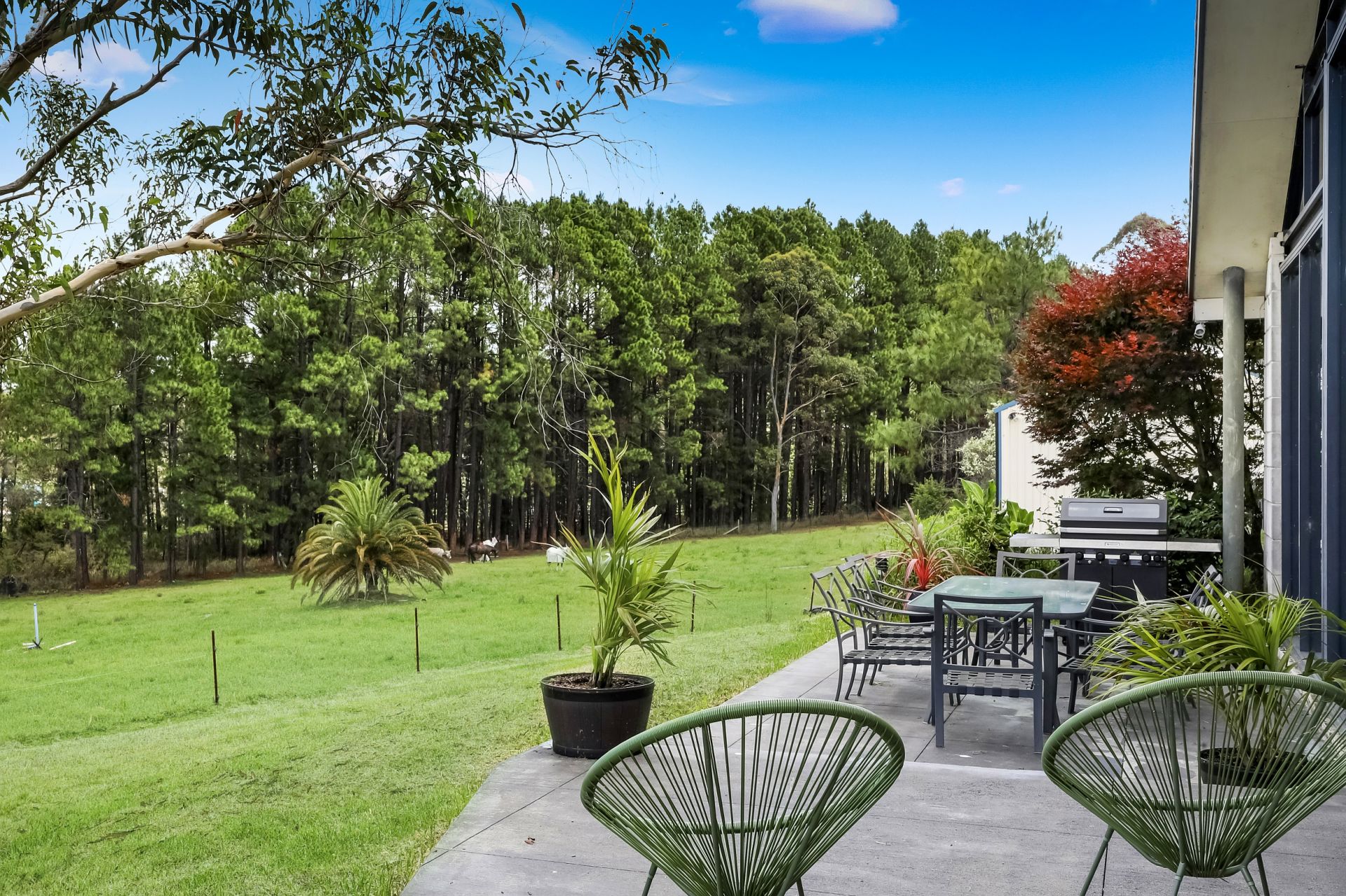 Real Estate For Sale 1865 Peats Ridge Road Peats Ridge , NSW