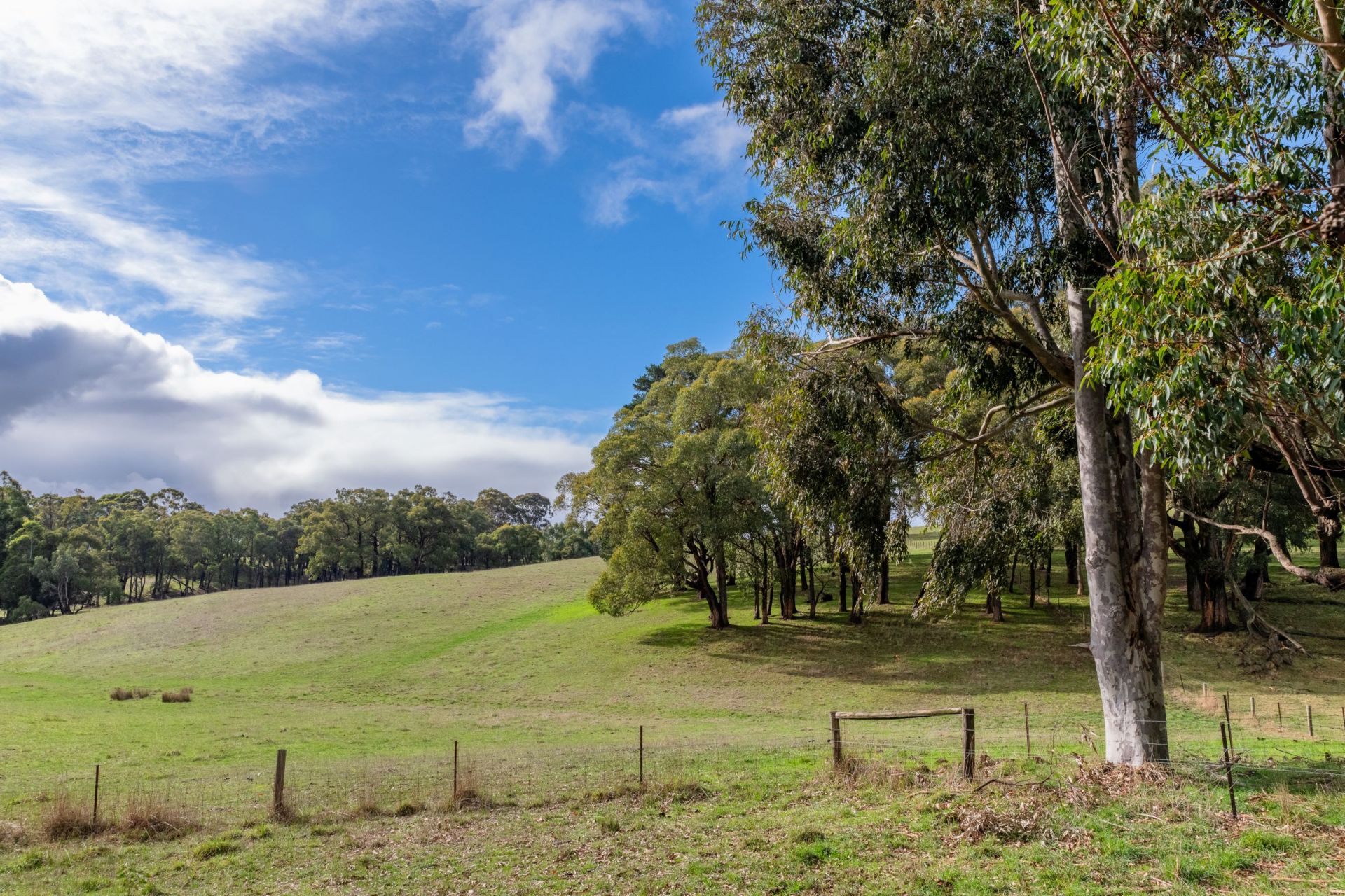 Lot 1 Ambleside Road, Hahndorf Adcock Real Estate