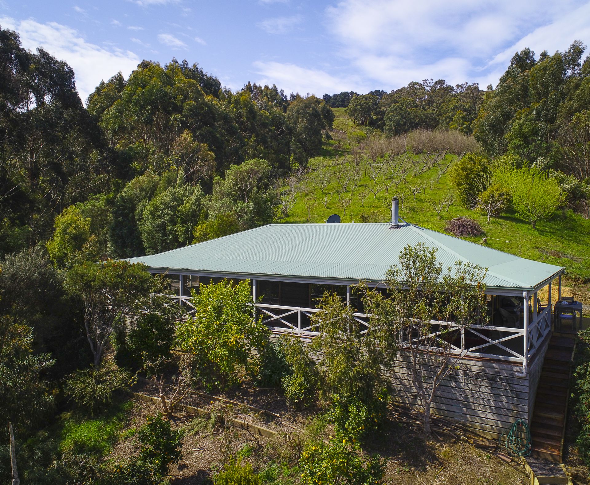 Real Estate For Sale 390 Wild Dog Road Apollo Bay , VIC