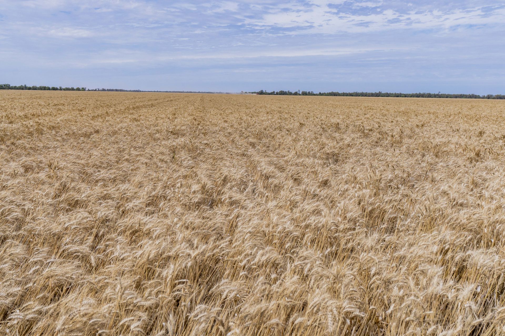 10025 Kidman Way, HILLSTON QPL Rural