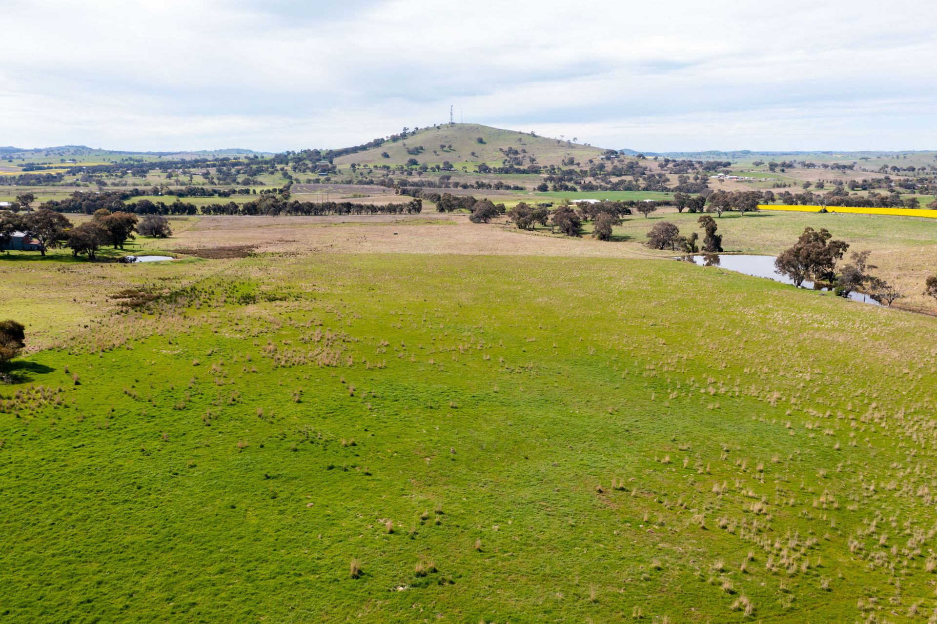 "Dots" 1887 Rye Park Road, Boorowa Flemings Property Services