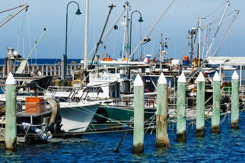 33 The Esplanade, Portarlington Neville Richards Real Estate