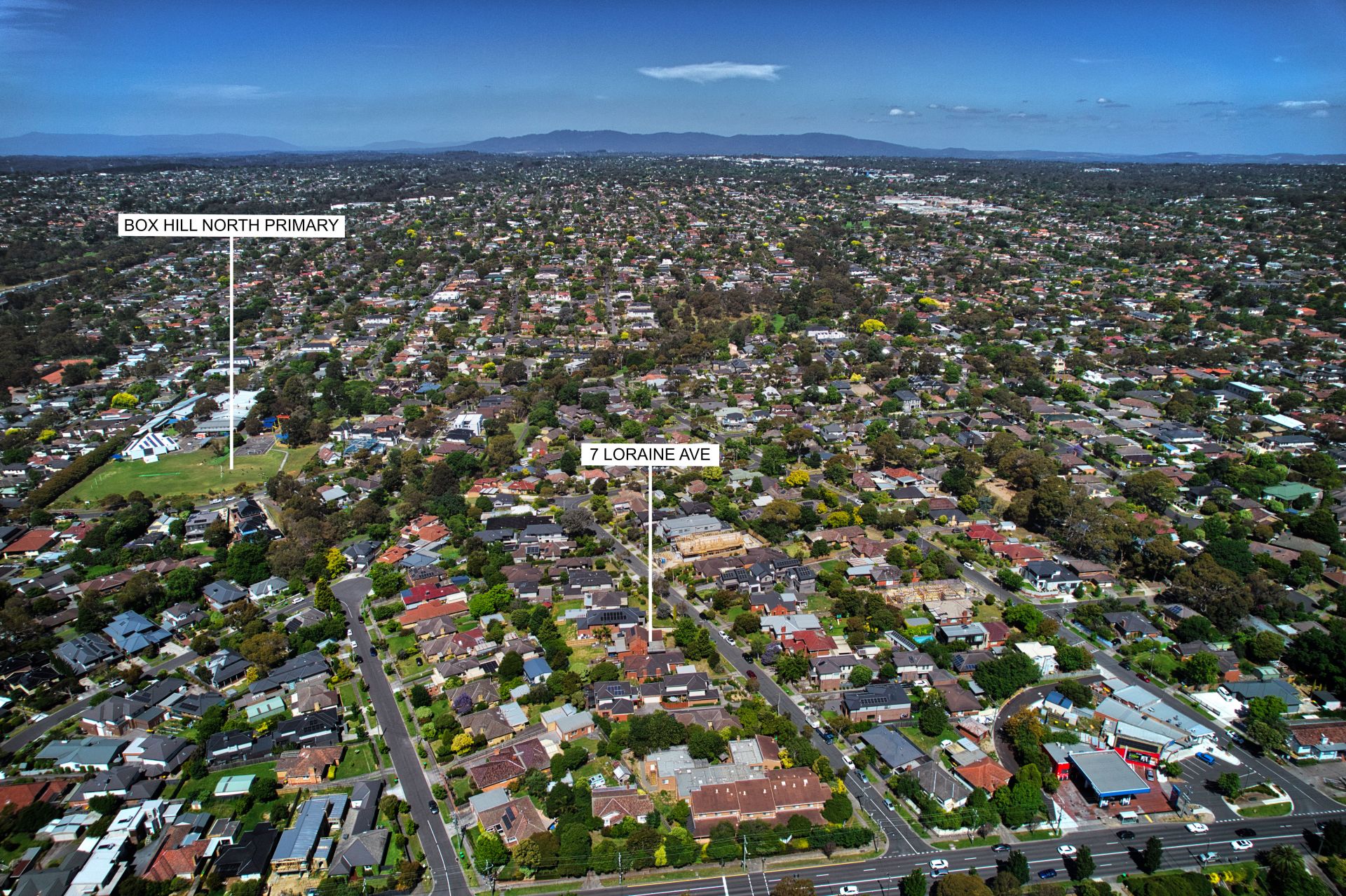 7 Loraine Avenue, Box Hill North OBrien Real Estate