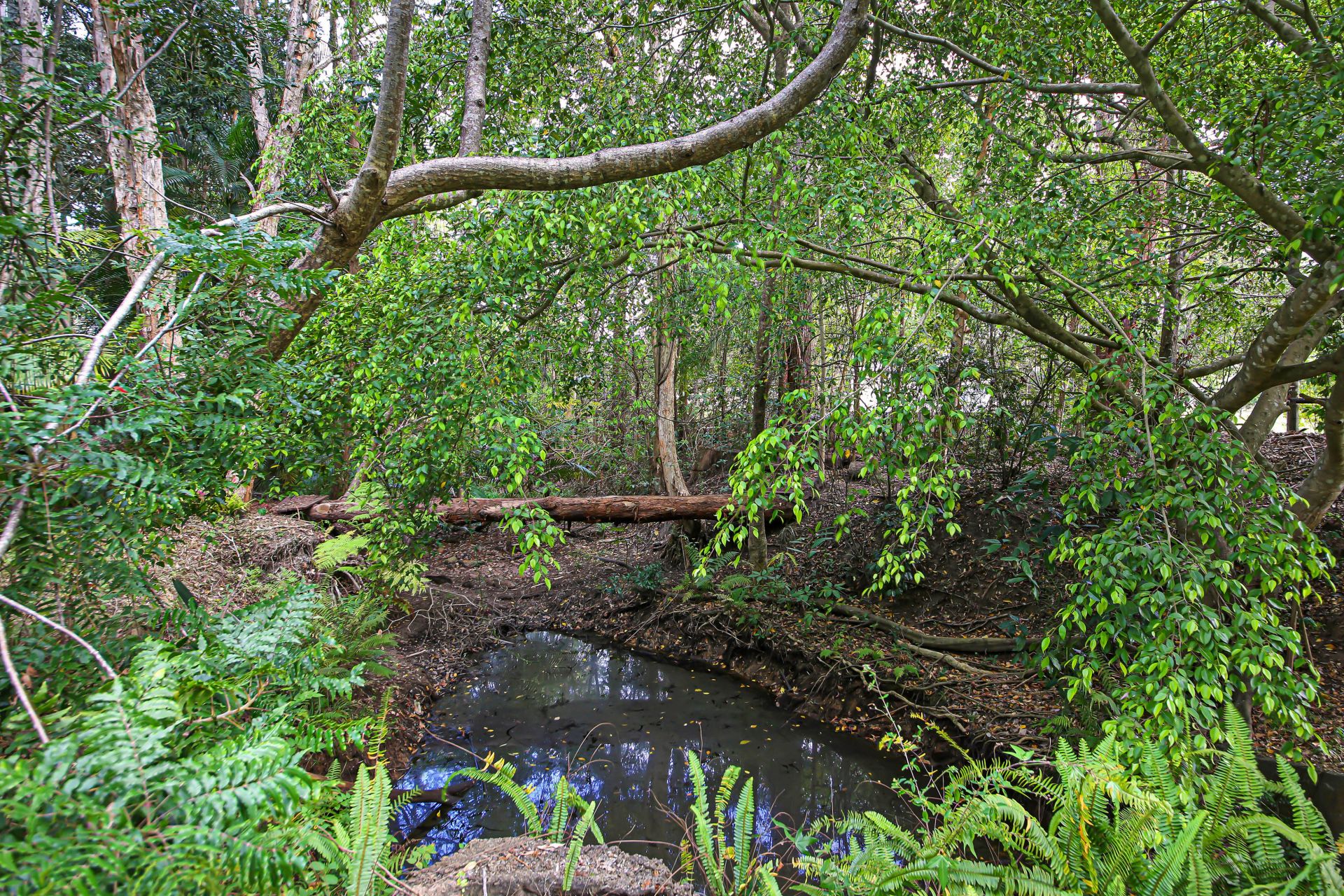 26 Tolson Road, Glenview Prime Property Sunshine Coast