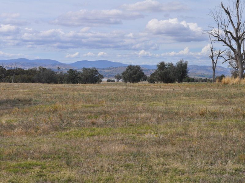 203/ Table Top Road, Table Top Kane Real Estate