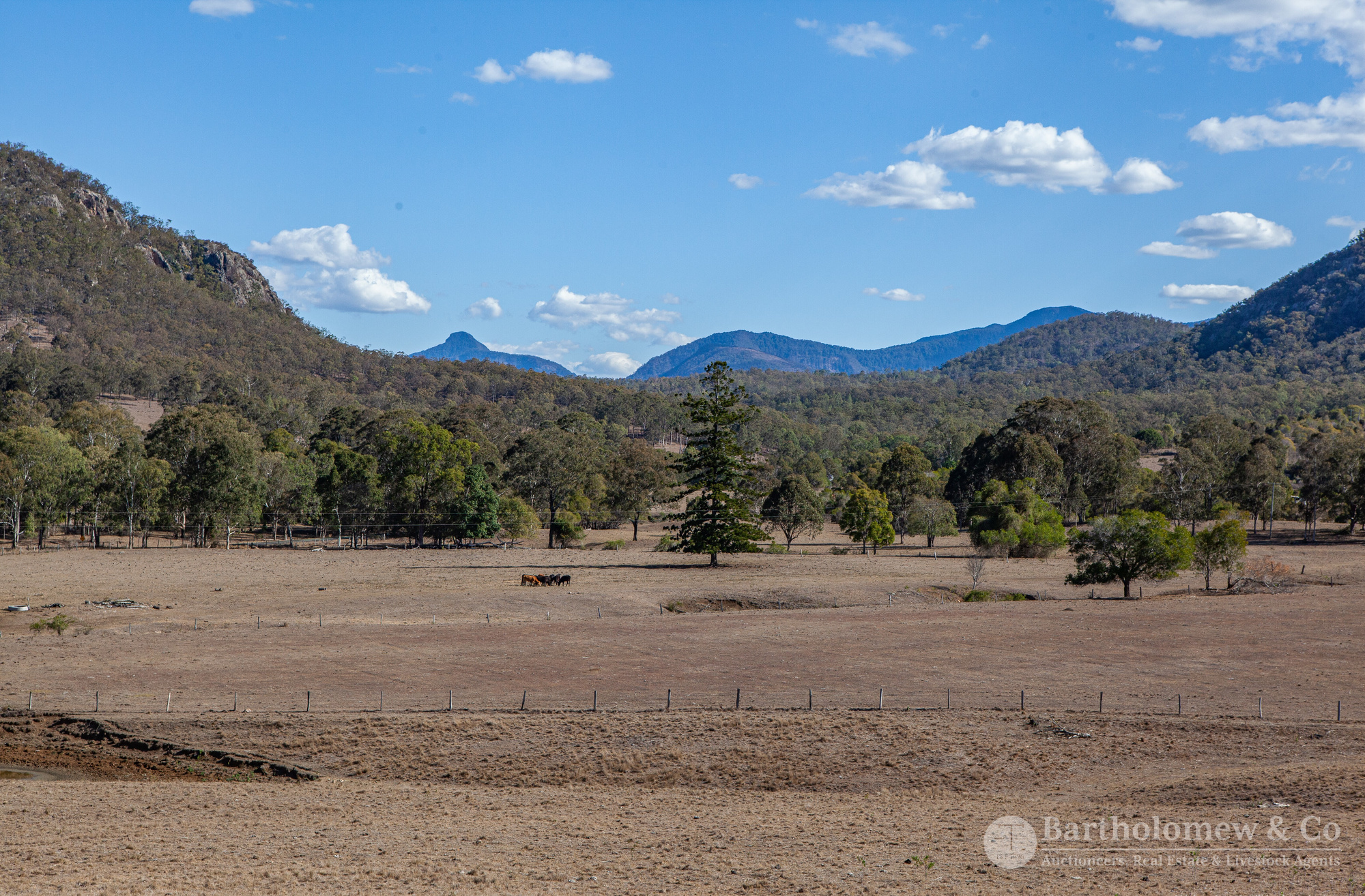 Real Estate For Sale 342 Dwyer Ridges Road Mount Alford , QLD