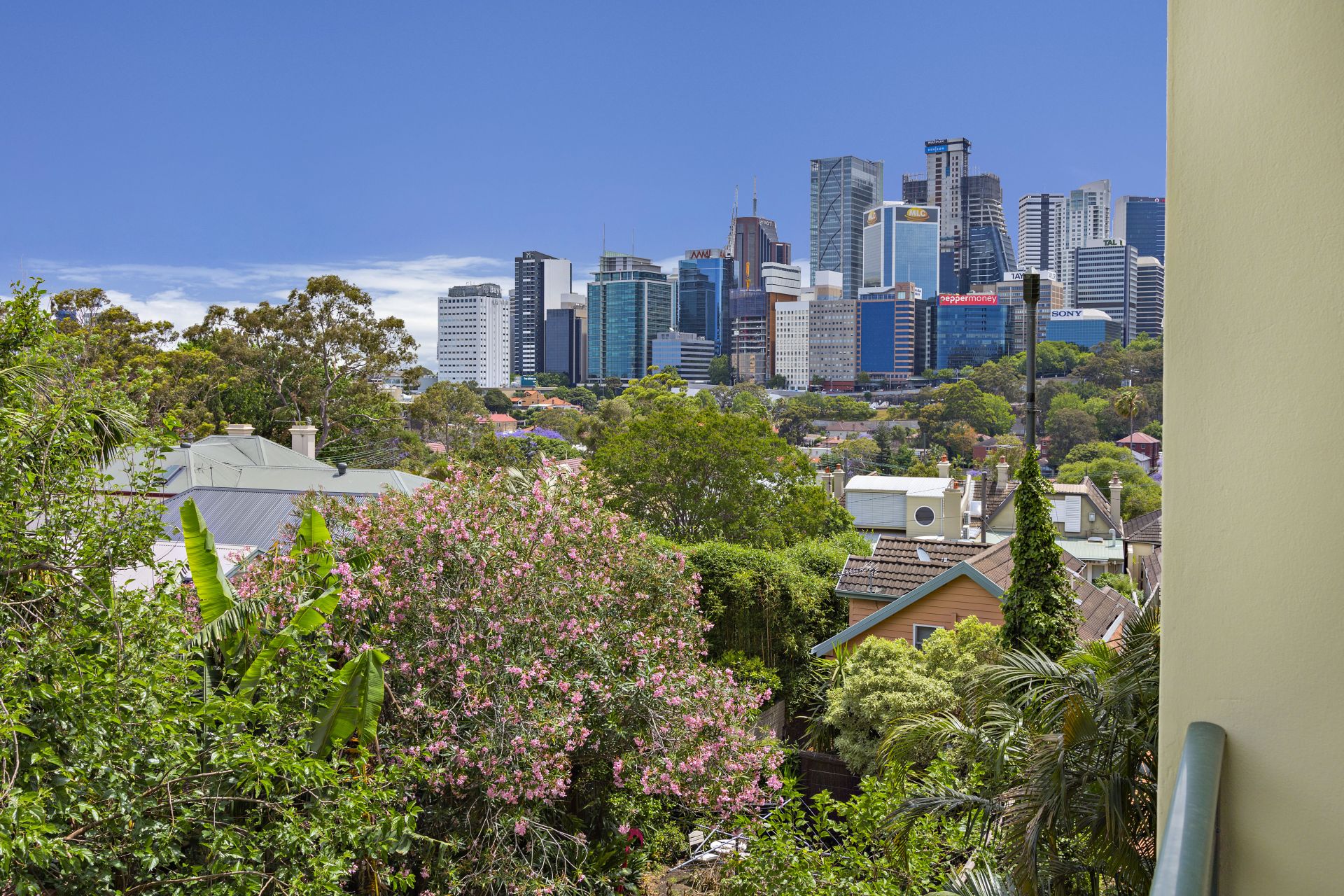 6/64 Ben Boyd Road Neutral Bay NSW 2089 Apartment for Rent 6014964