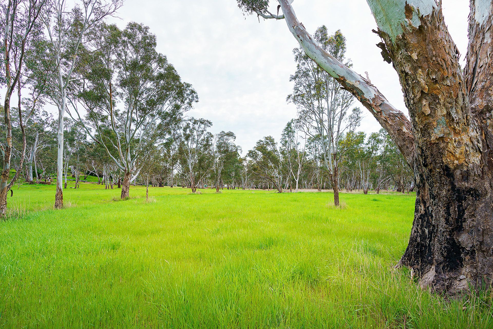 Real Estate For Sale Lot 18/ HarrowCasterton Road Harrow , VIC