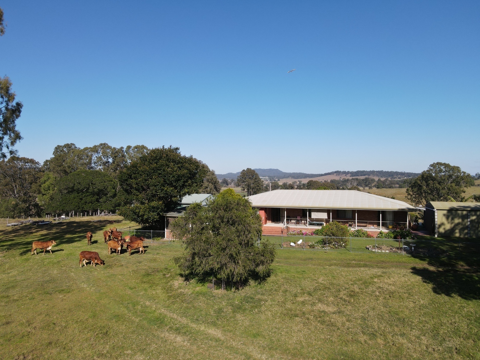 Real Estate For Sale 45 Biddaddaba Road Boyland , QLD