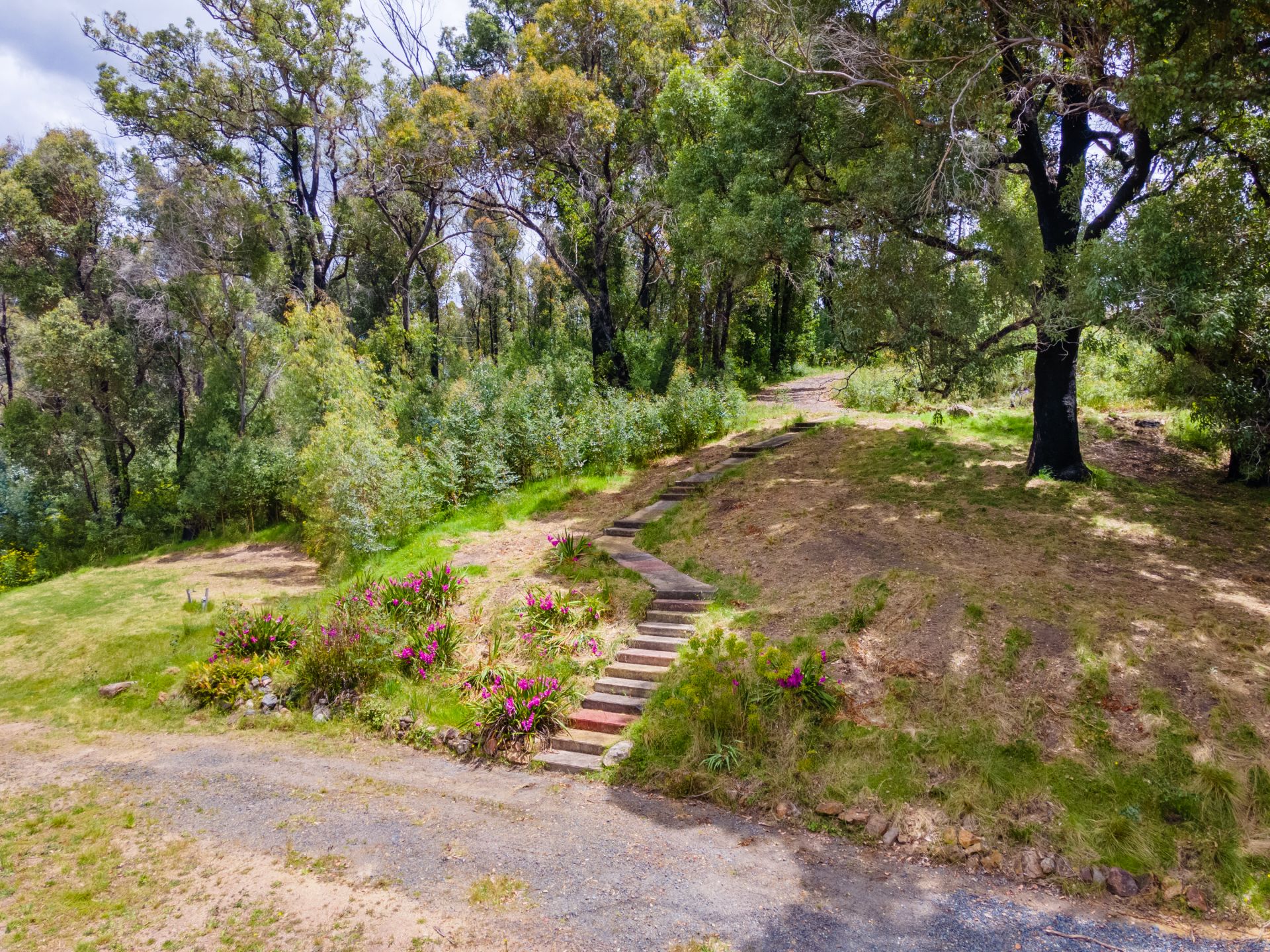 25 Murrabrine Forest Road, Yowrie Butterfield Property