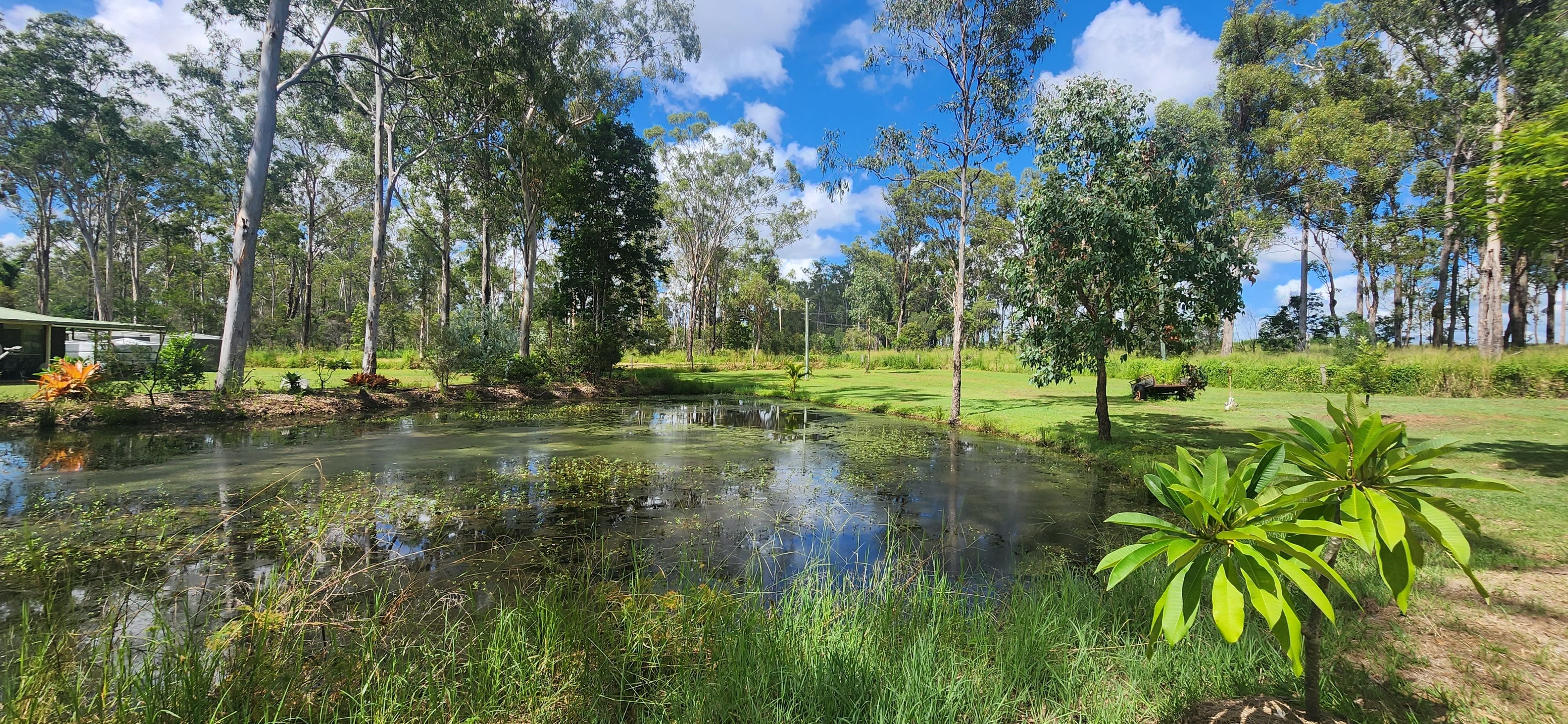 Real Estate For Sale 1367 Bucca Road Bucca , QLD