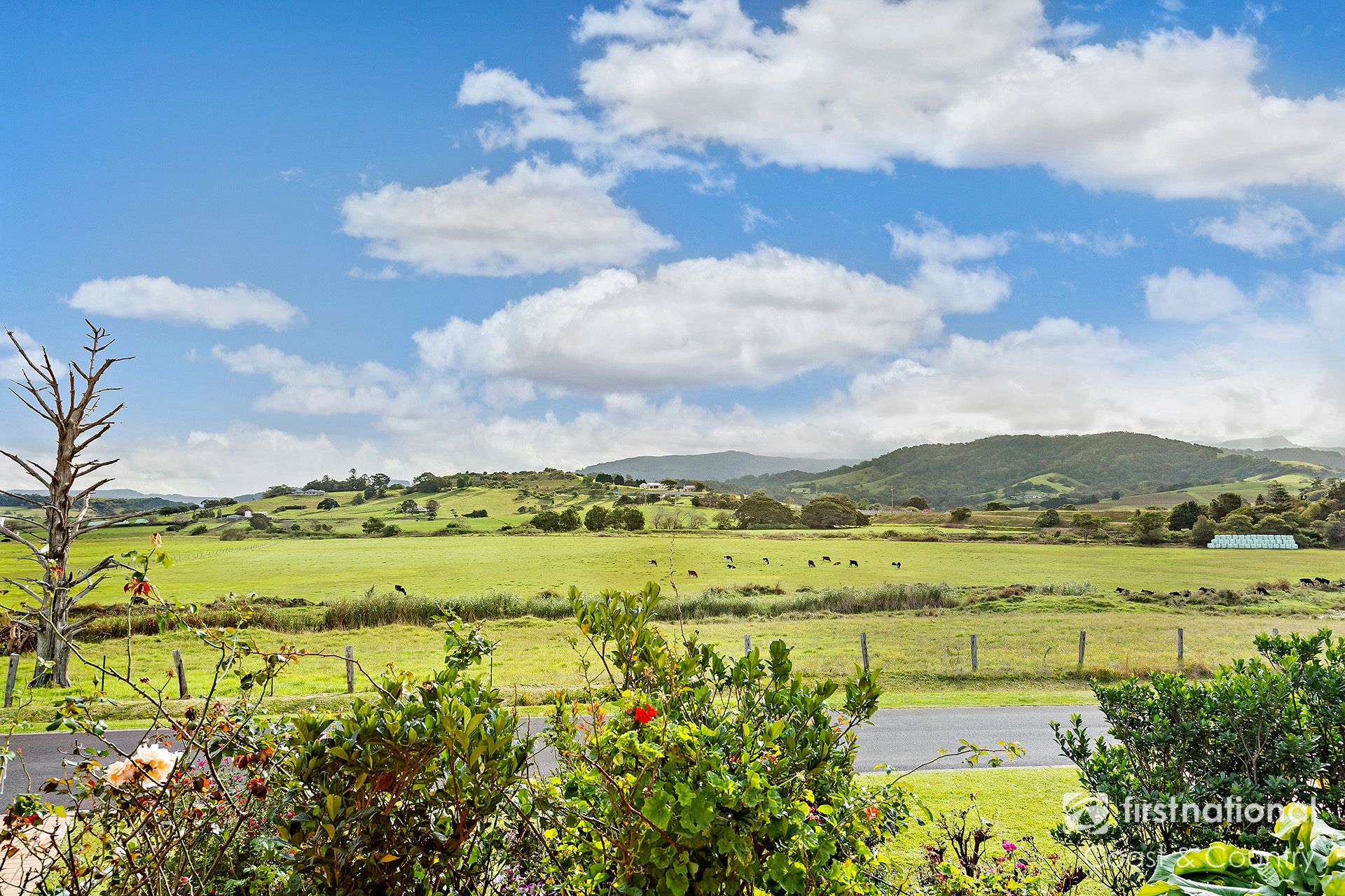 5A Short Street, Gerringong First National Coast & Country Real Estate