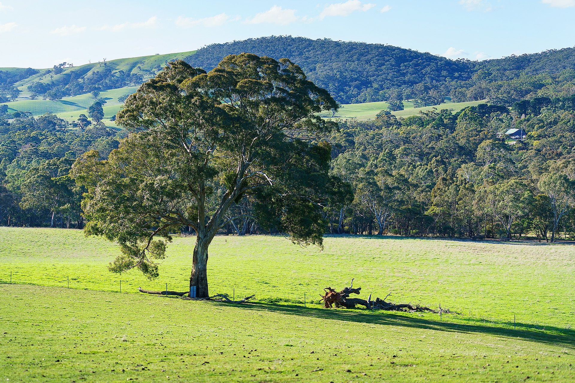 Real Estate For Sale Lot 63/ Rhymney Road Norval , VIC