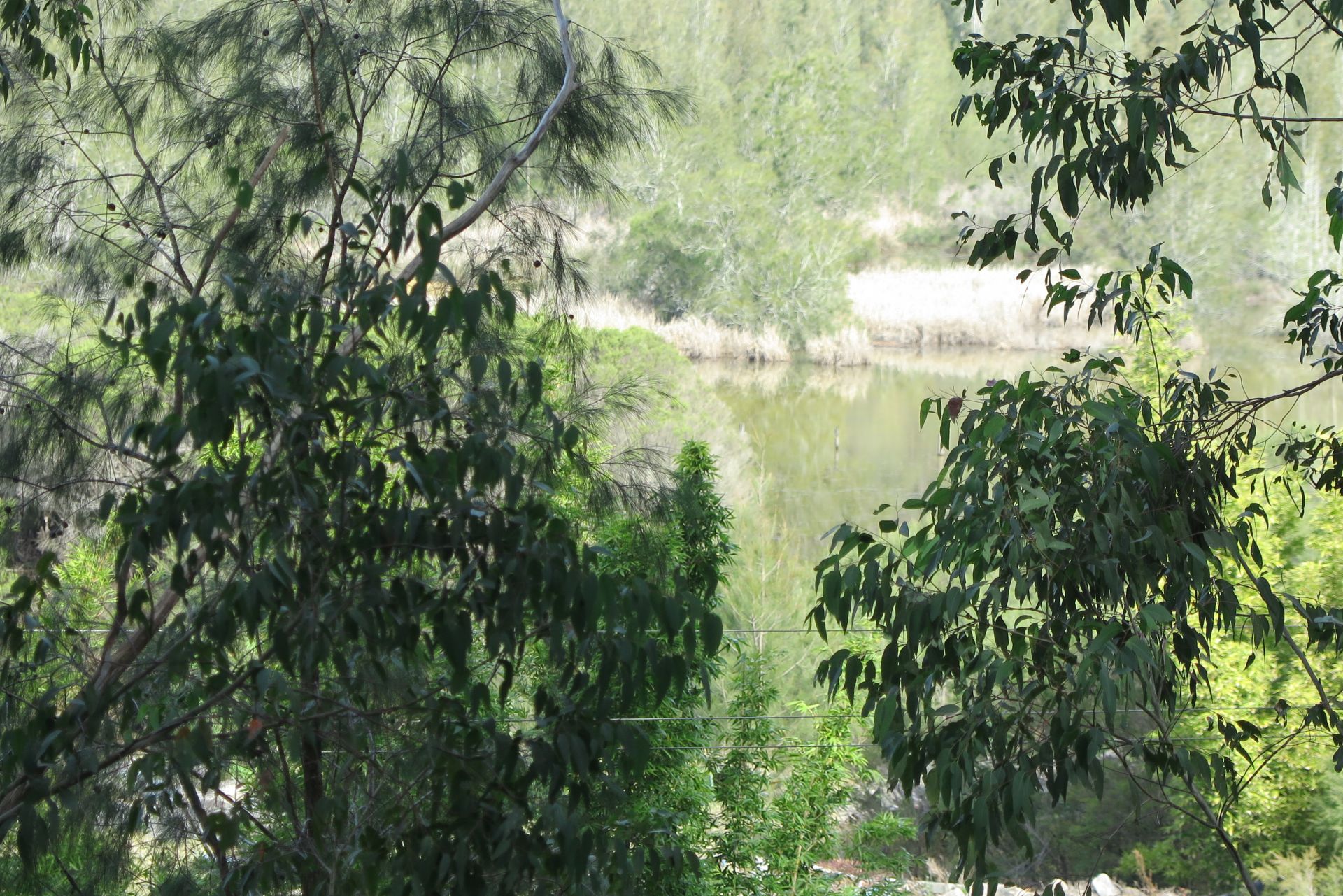 Real Estate For Sale 171 bs Creek Road bs Creek , NSW