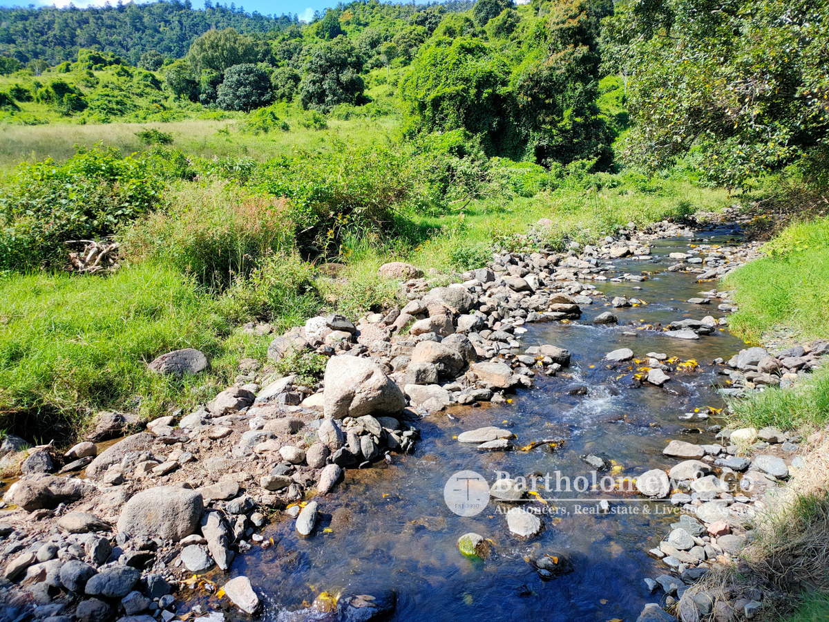 Real Estate For Sale 379 Camp Creek Road Running Creek , QLD