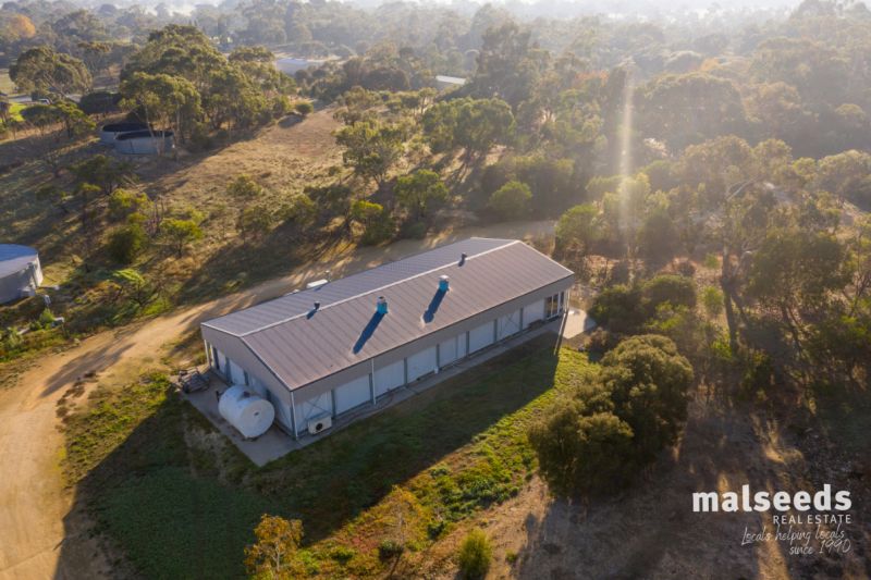 119 Roach Road, Lucindale Malseeds Real Estate