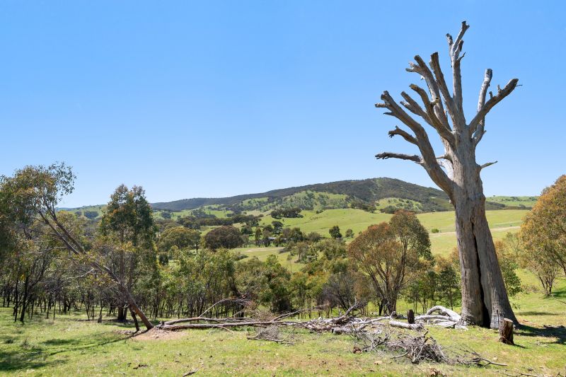 Real Estate For Sale 145 Chetwynd Road Whiteheads Creek , VIC