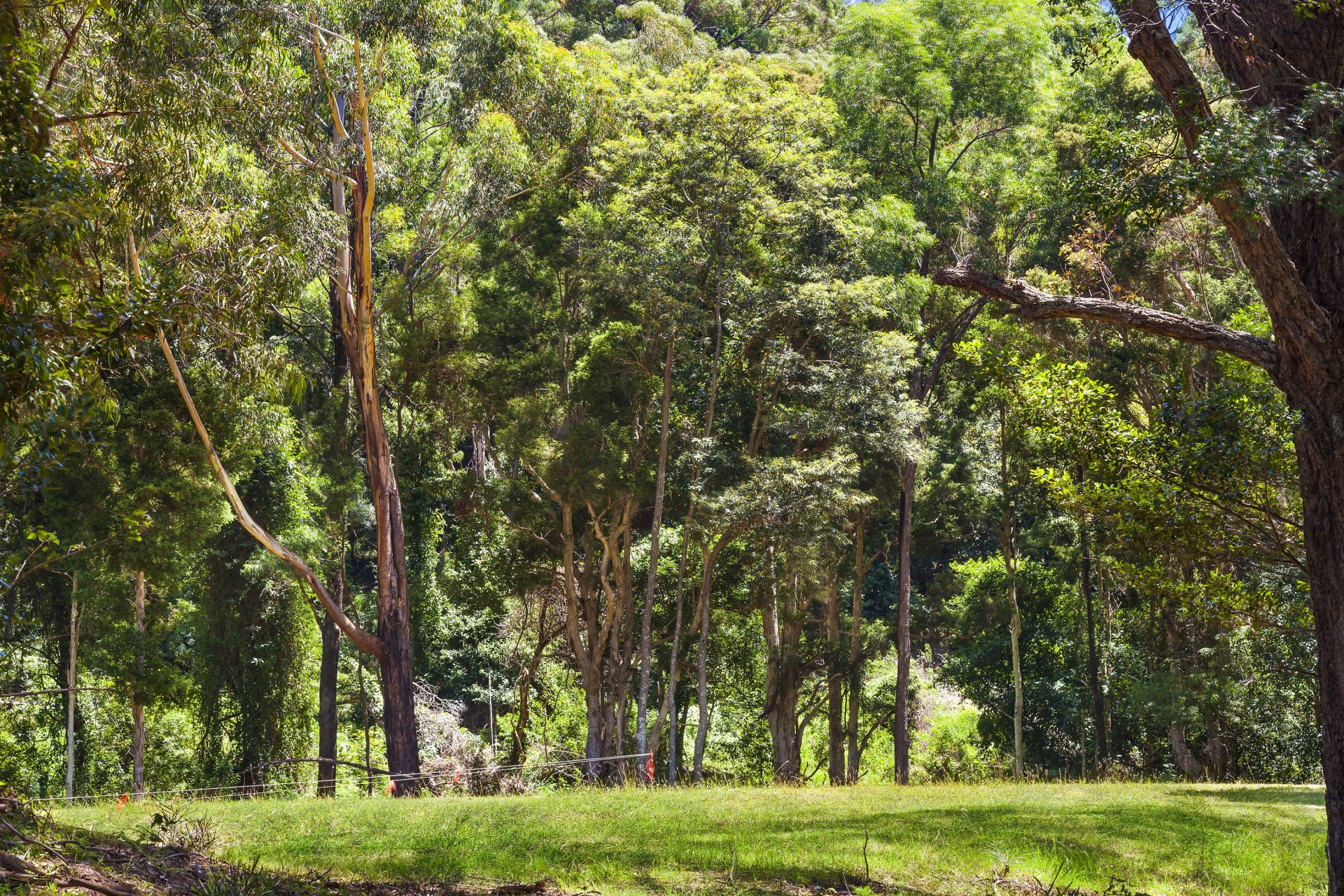 Real Estate For Sale 62A Wellington Drive Balgownie , NSW