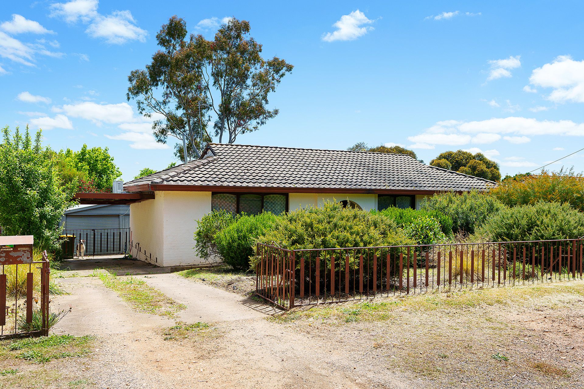11 Etty Street, Castlemaine Cantwell Property Castlemaine