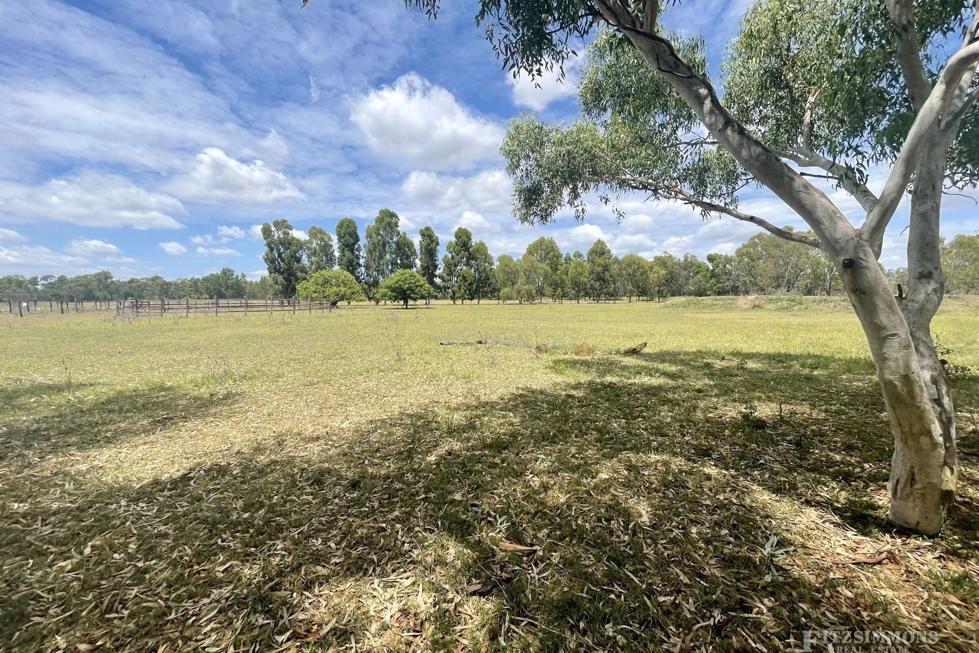 Dalby Fitzsimmons Real Estate