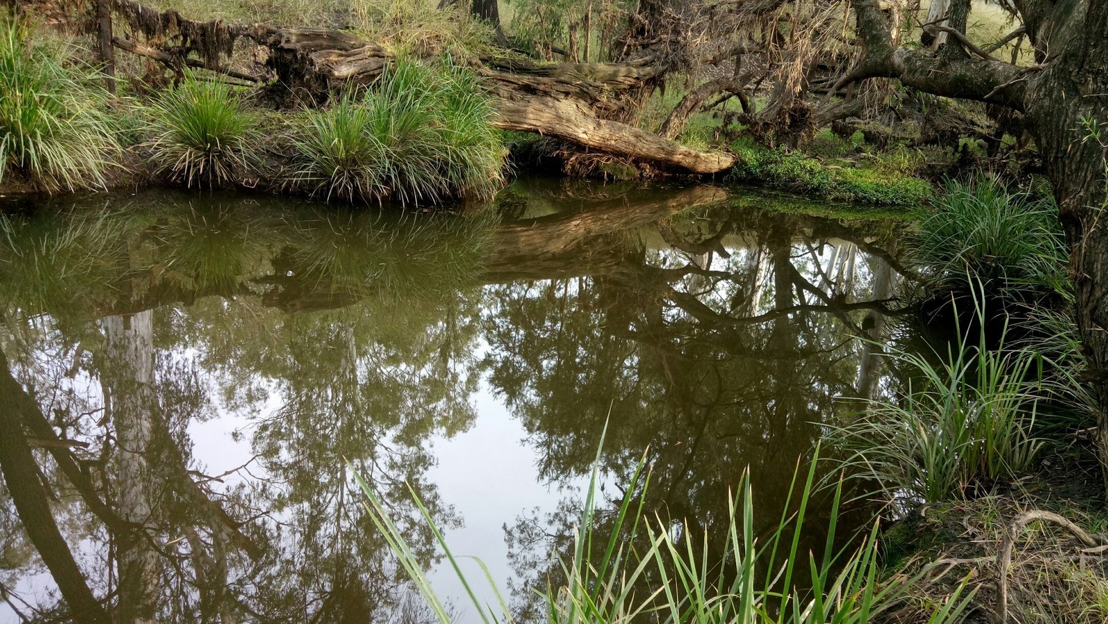 Real Estate For Sale Lot 74 Middle Road Purga , QLD