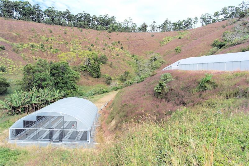 Real Estate For Sale Lot 4 Newmans Road Woolgoolga , NSW